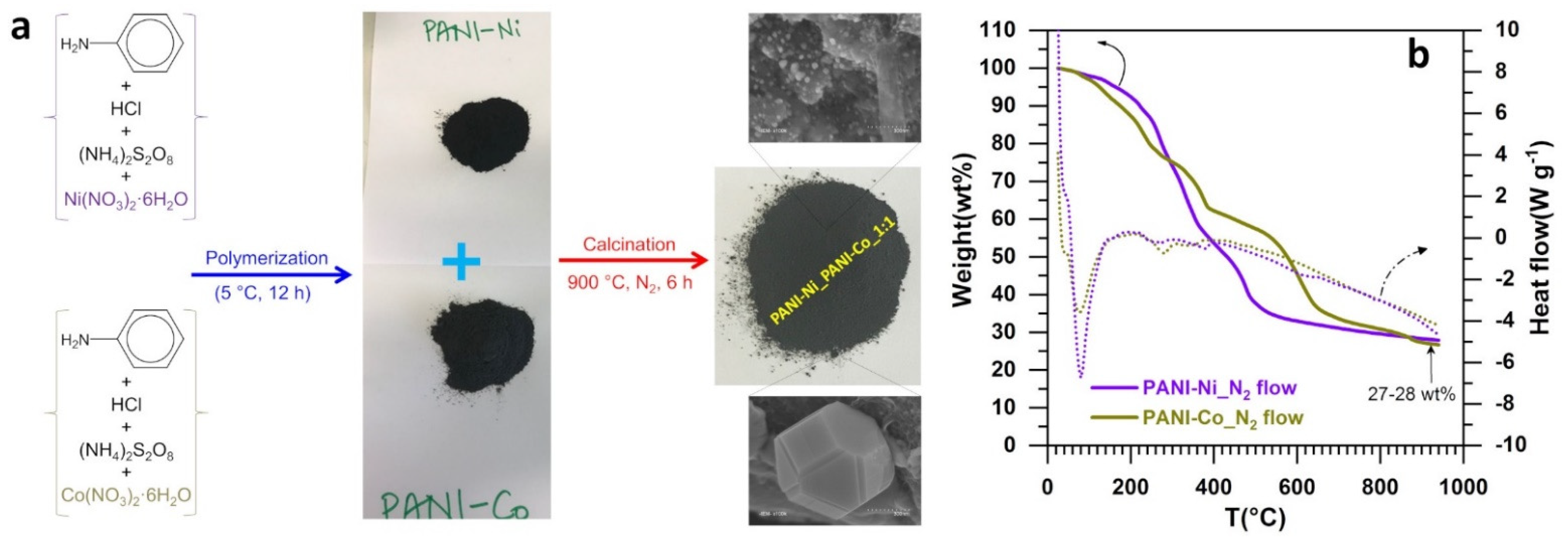 Molecules 26 05926 g001