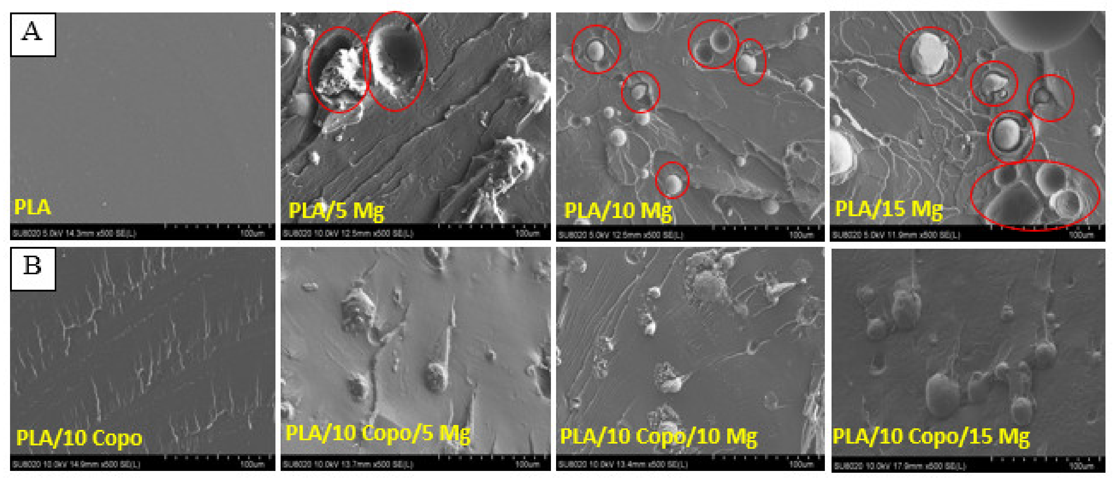 Molecules 26 05944 g002