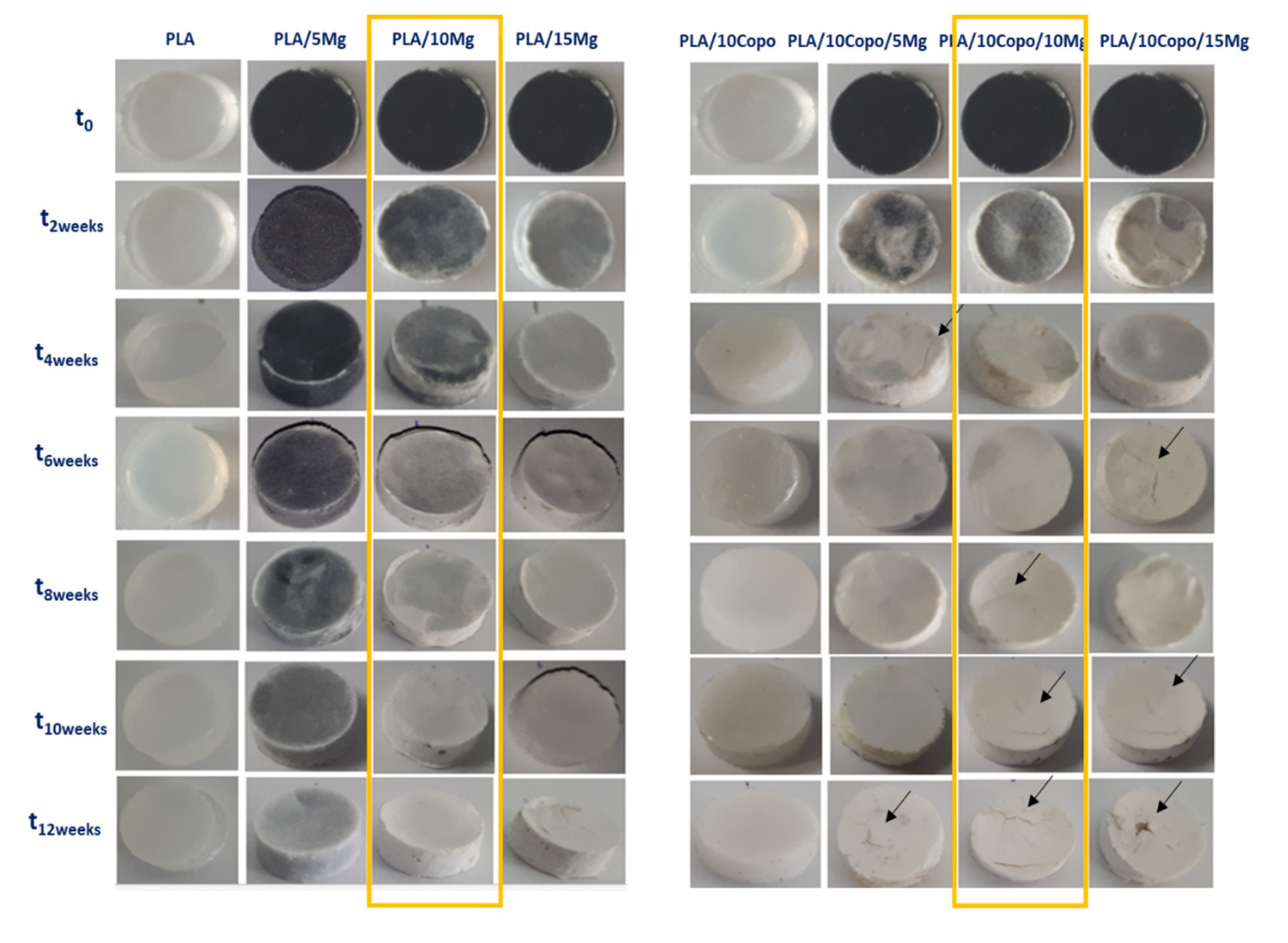 Molecules 26 05944 g006