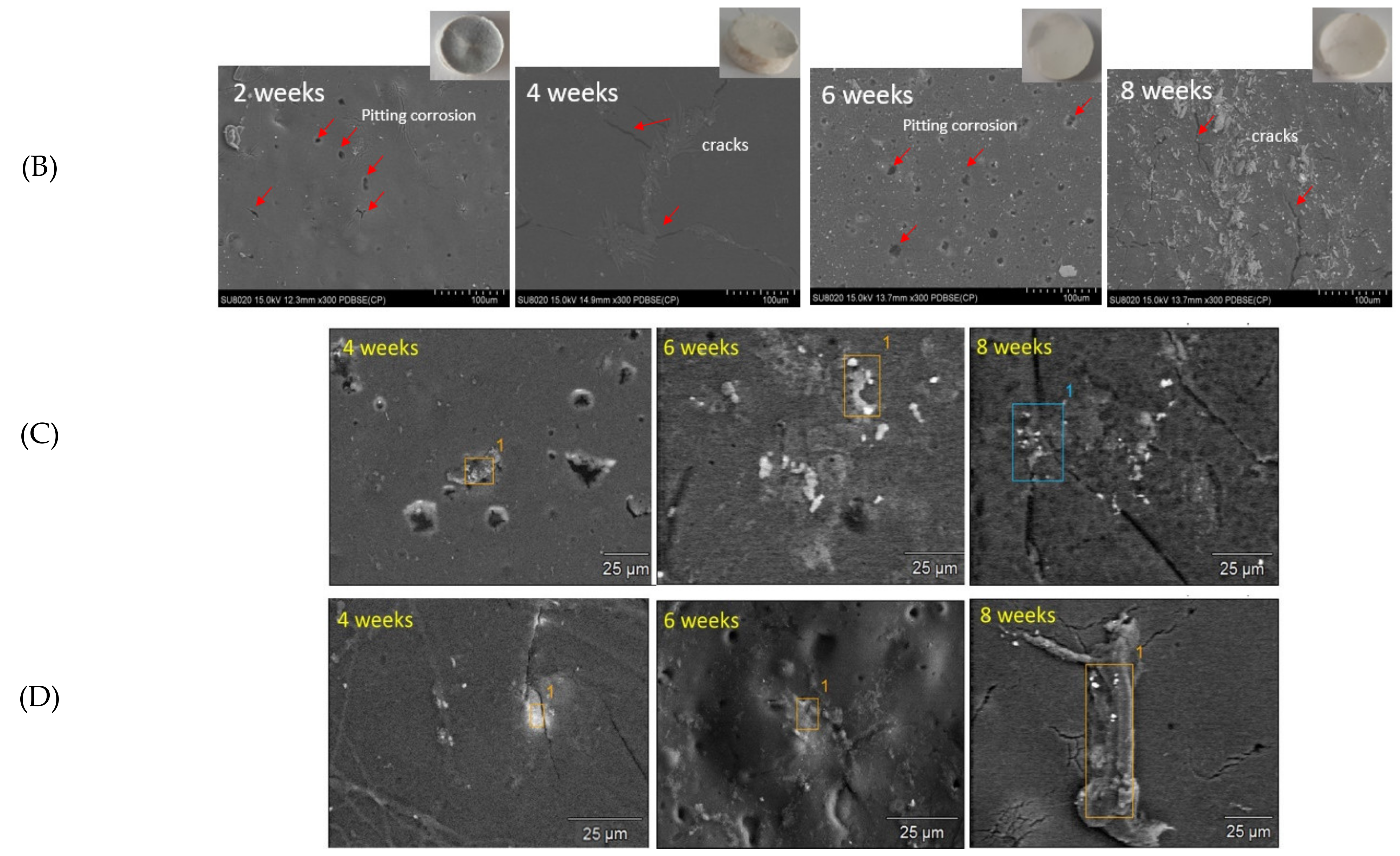 Molecules 26 05944 g008b