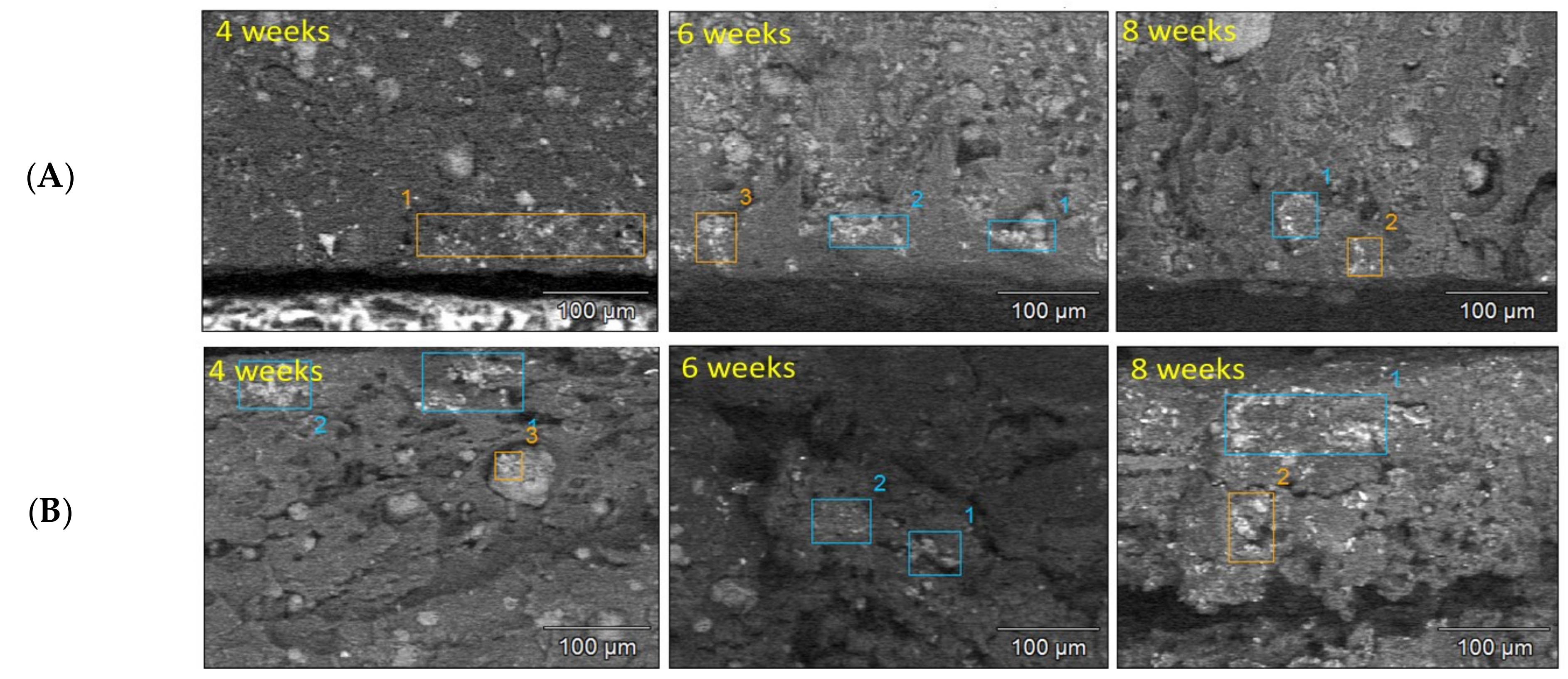 Molecules 26 05944 g009