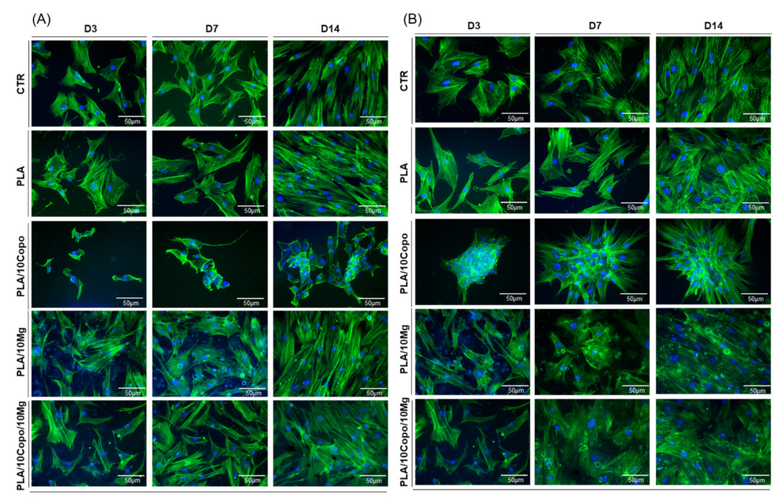 Molecules 26 05944 g014