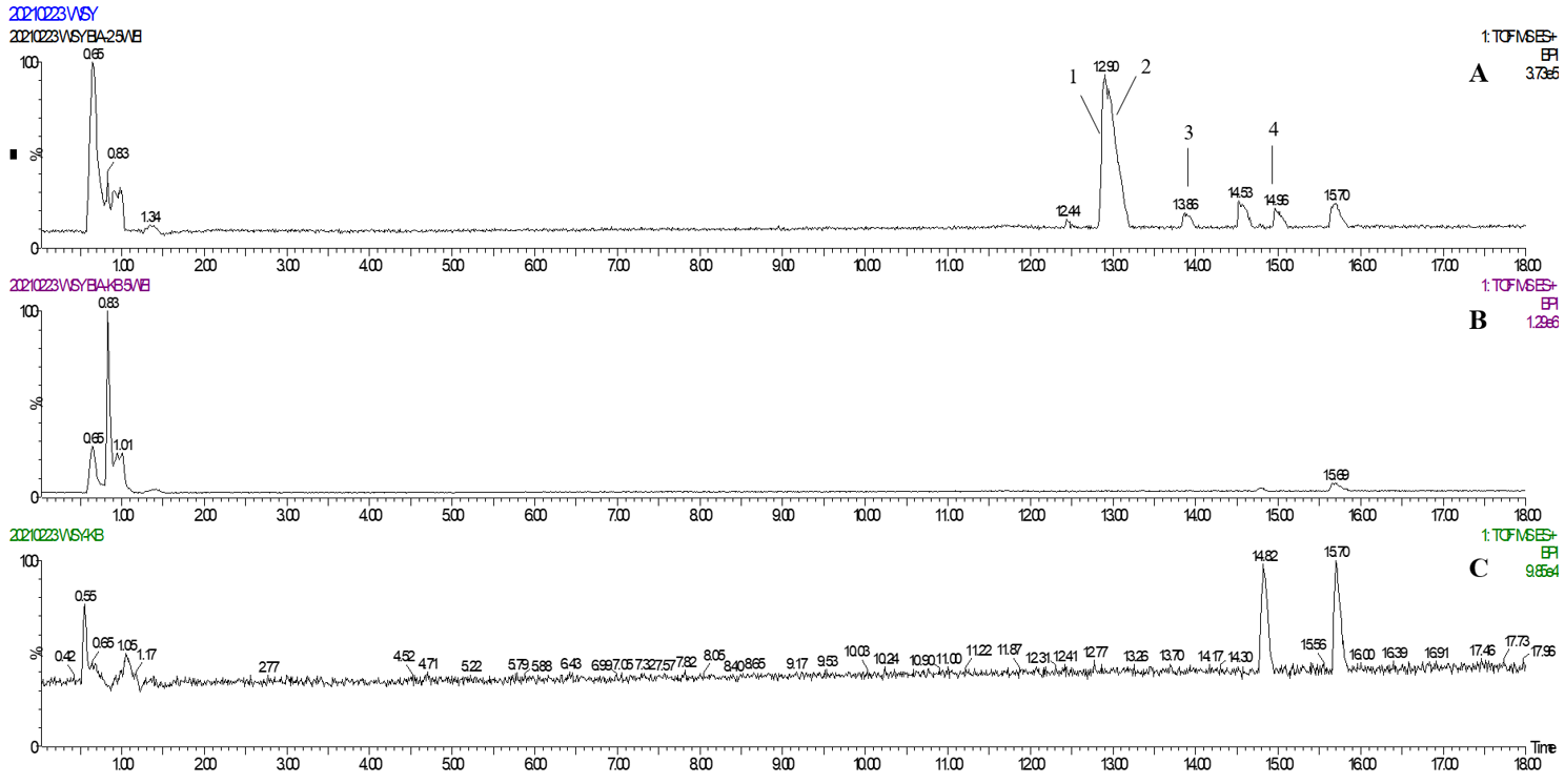 Molecules 26 05946 g002