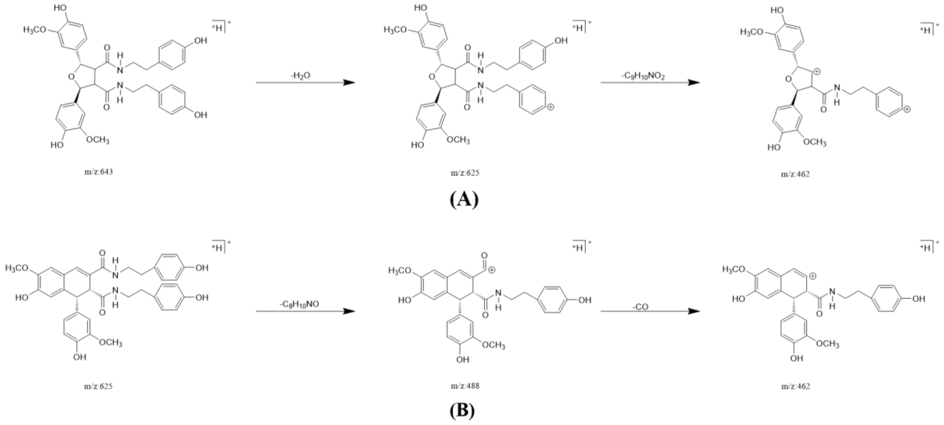 Molecules 26 05946 g004