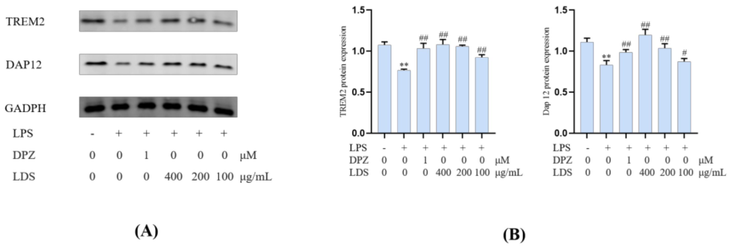 Molecules 26 05946 g009