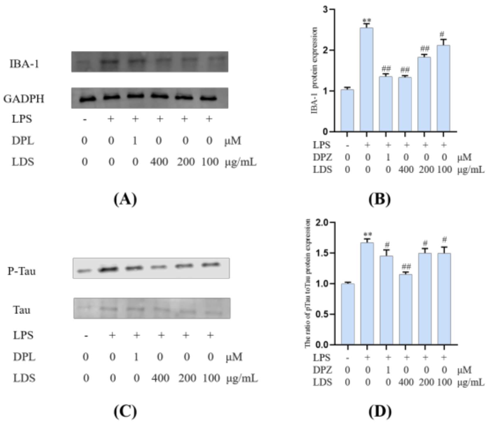 Molecules 26 05946 g011