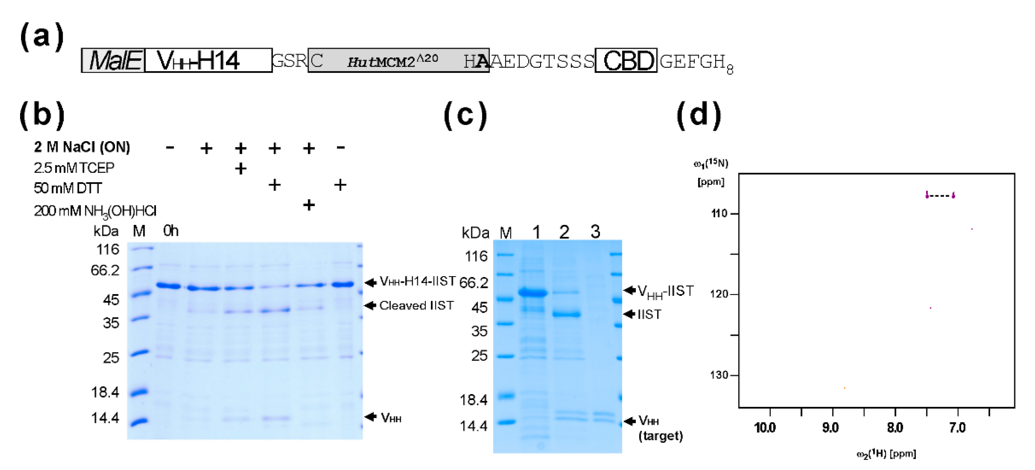 Molecules 26 05948 g003