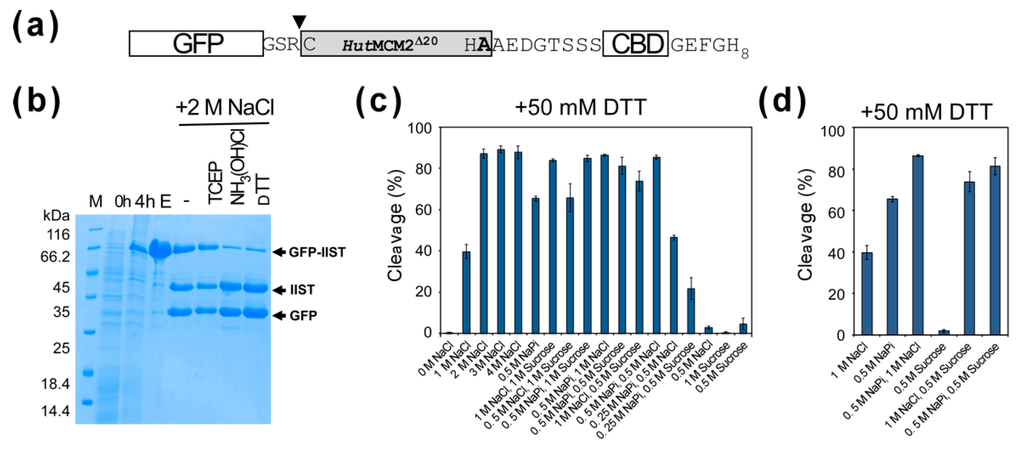 Molecules 26 05948 g004