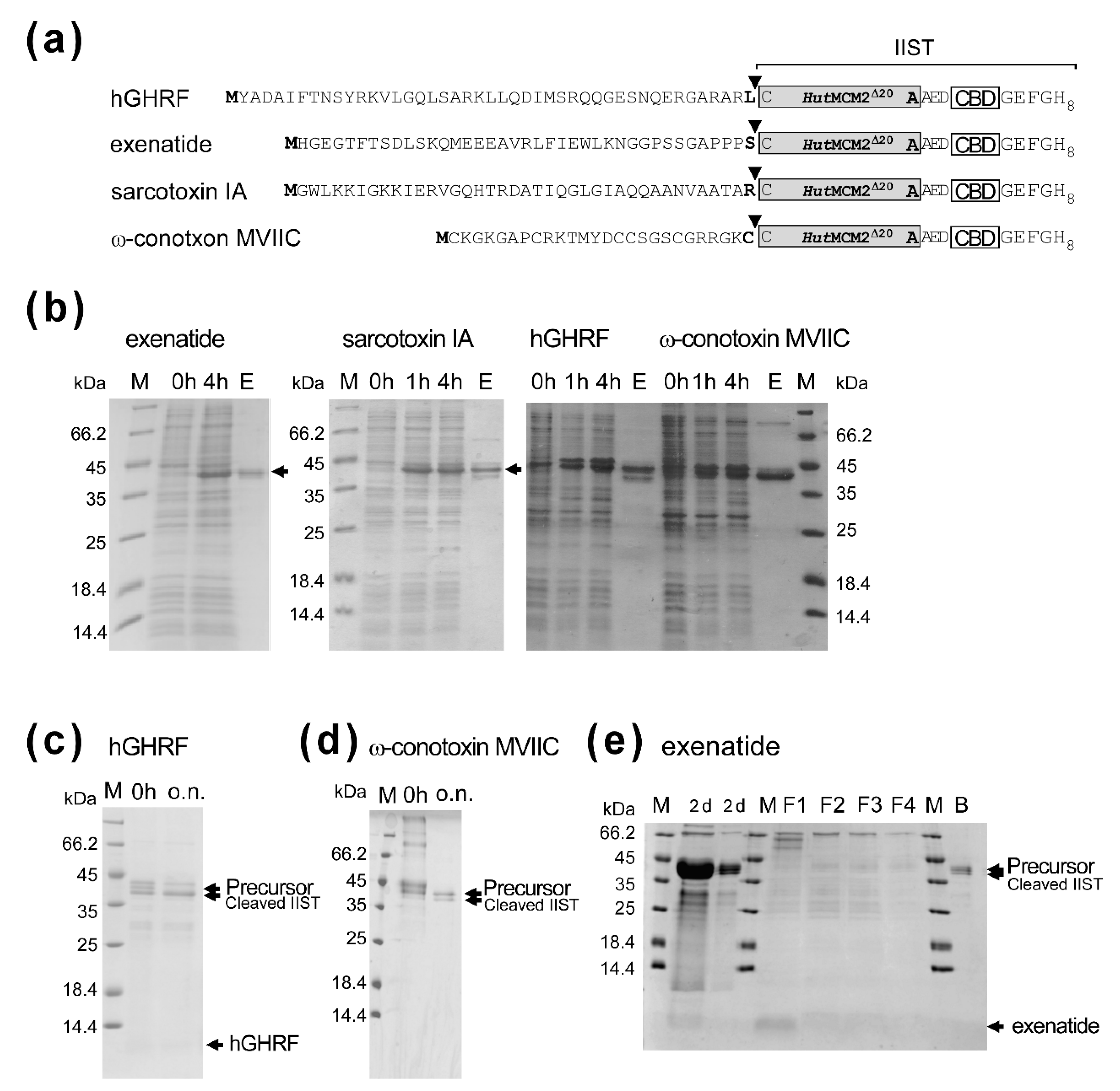 Molecules 26 05948 g005