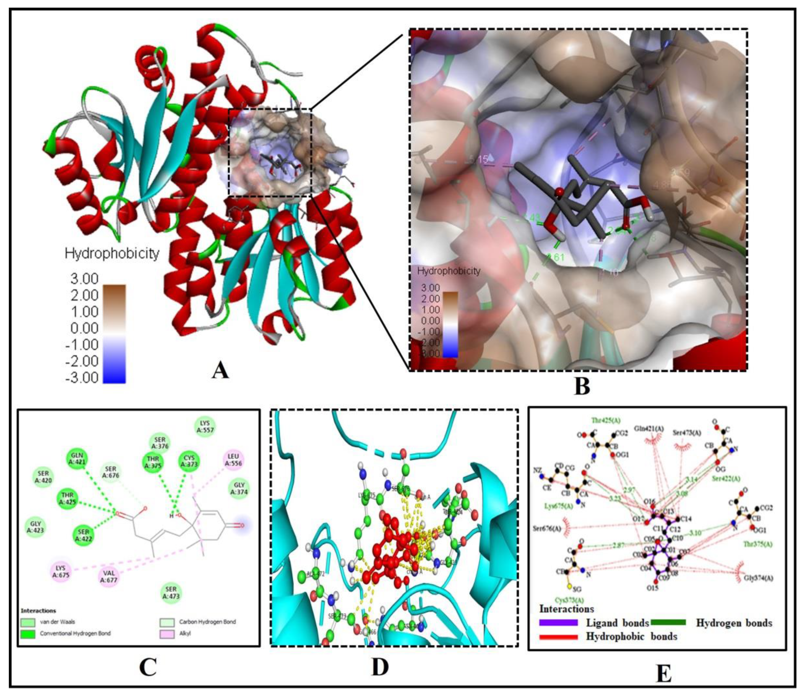 Molecules 26 05957 g003 Molecules 26 05957 g003