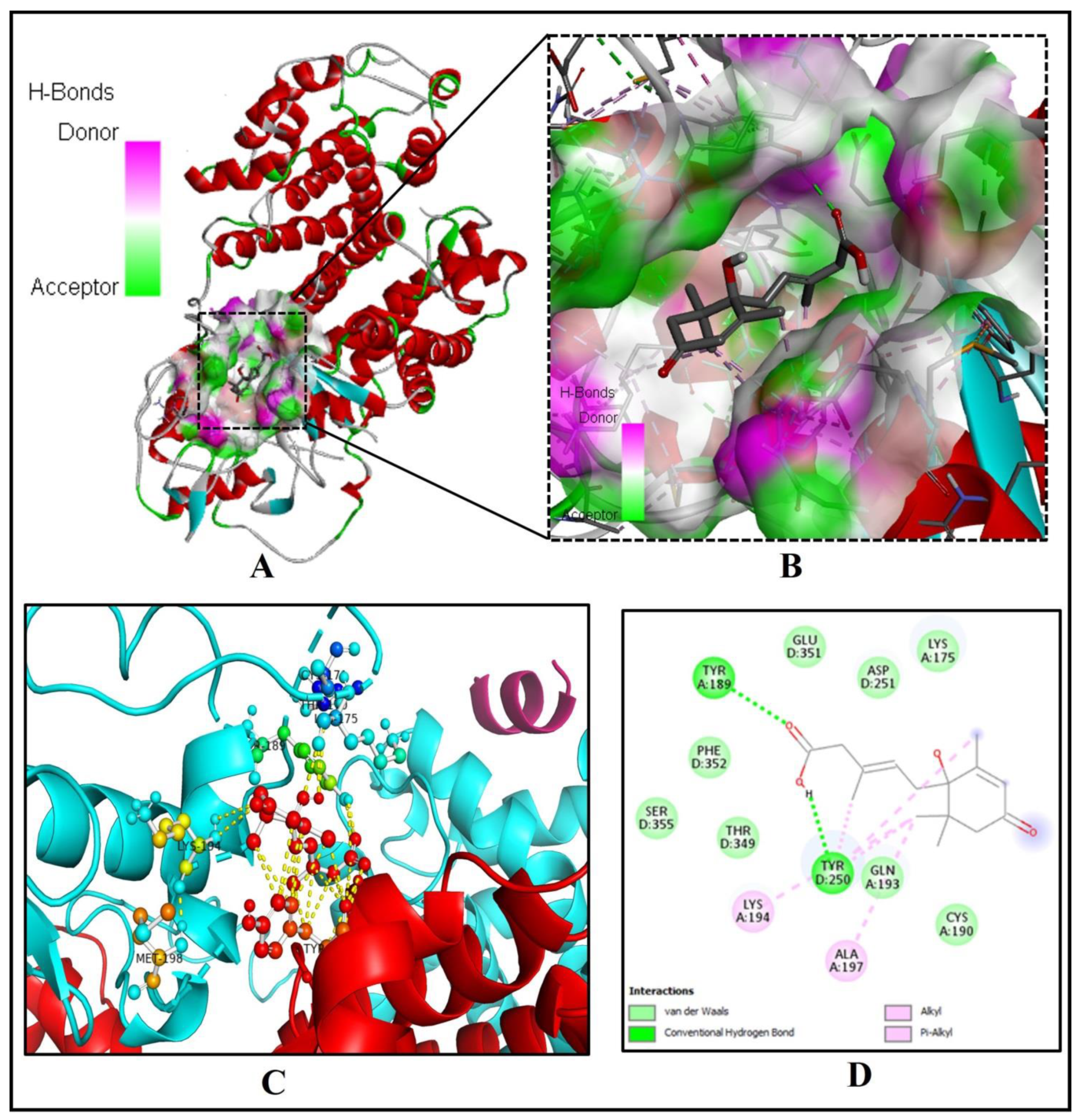 Molecules 26 05957 g004 Molecules 26 05957 g004