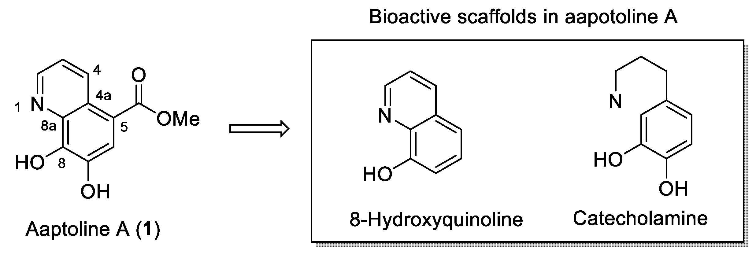 Molecules 26 05964 g001