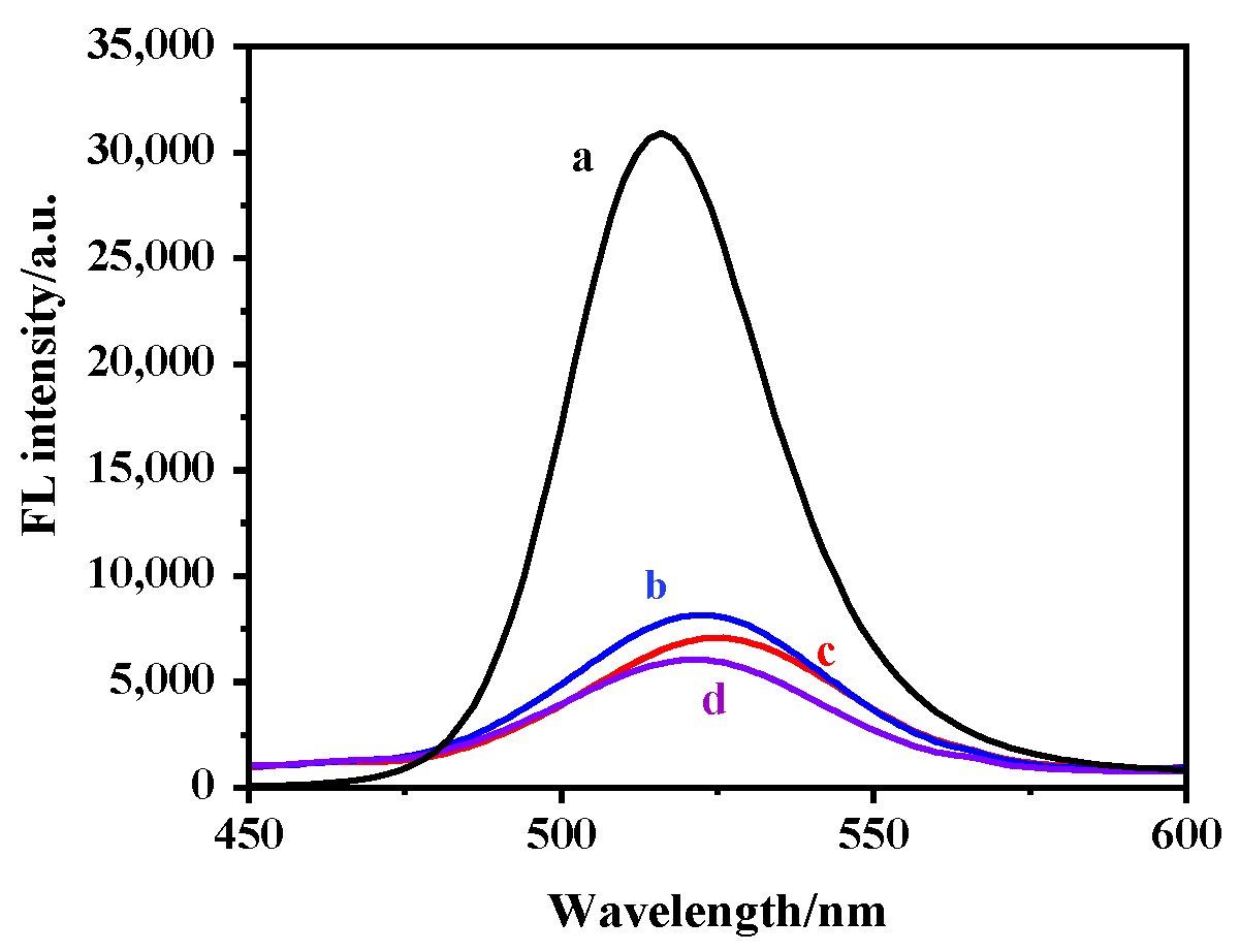Molecules 26 05965 g004