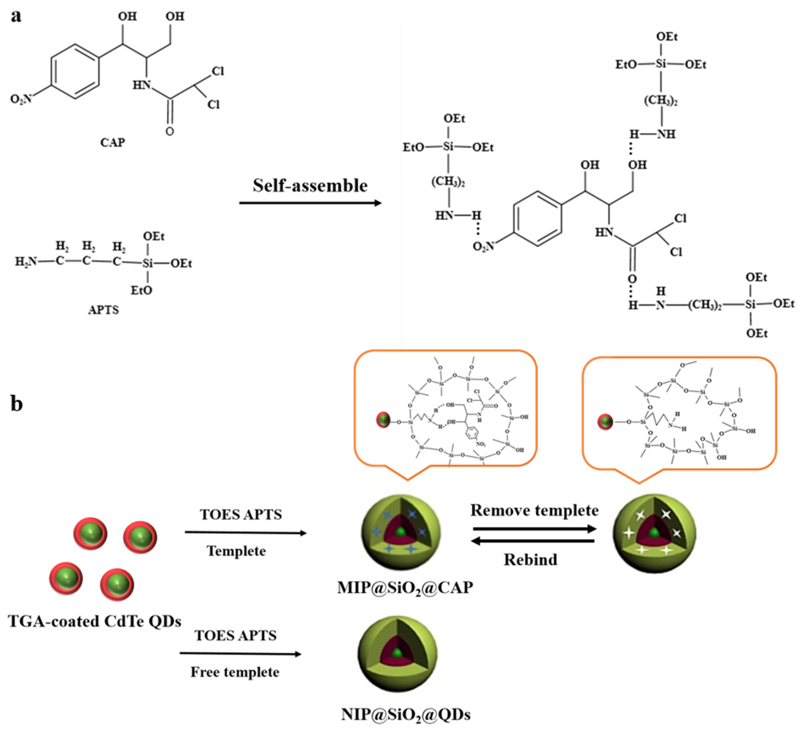 Molecules 26 05965 sch001