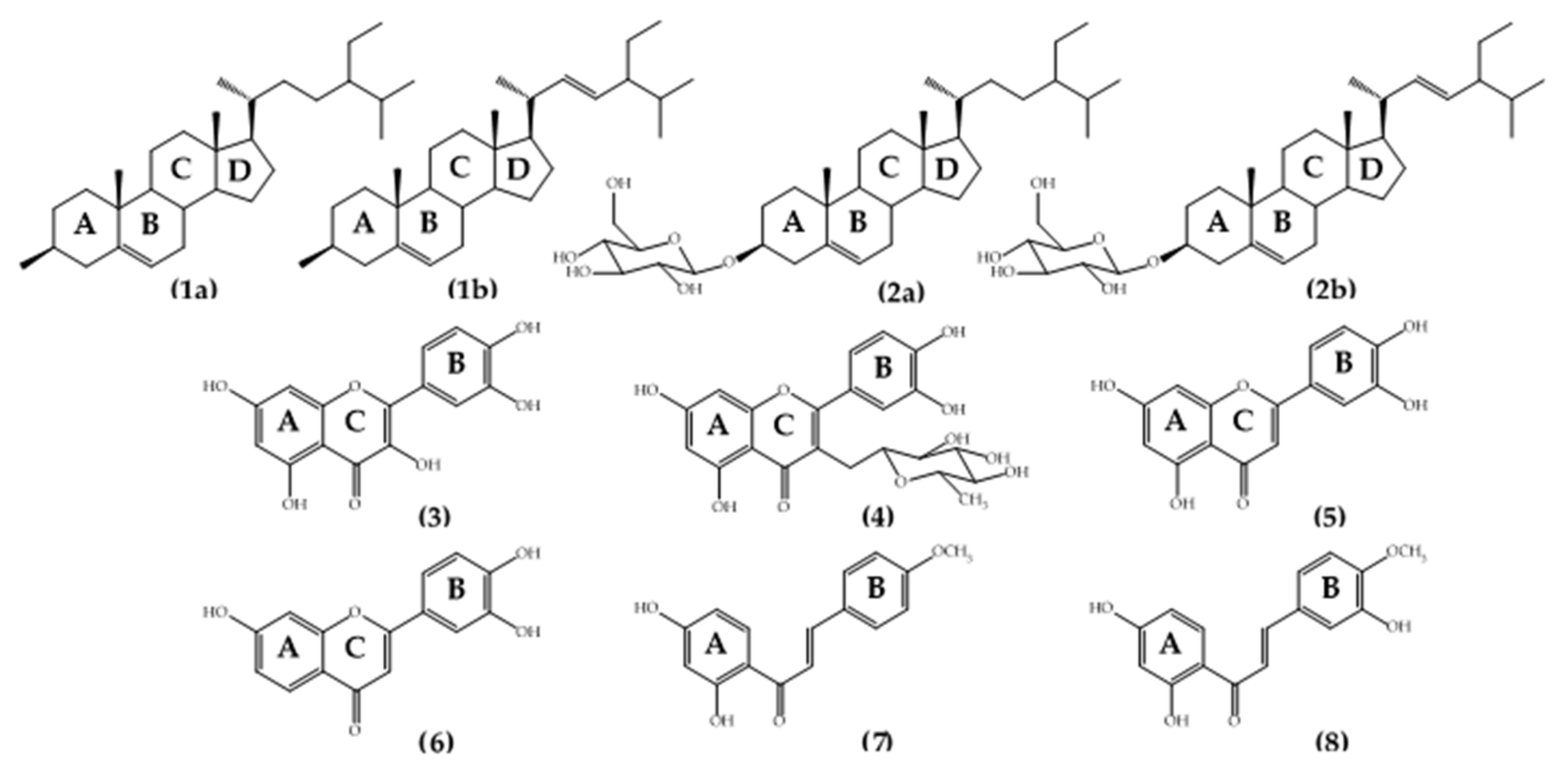Molecules 26 05970 g001