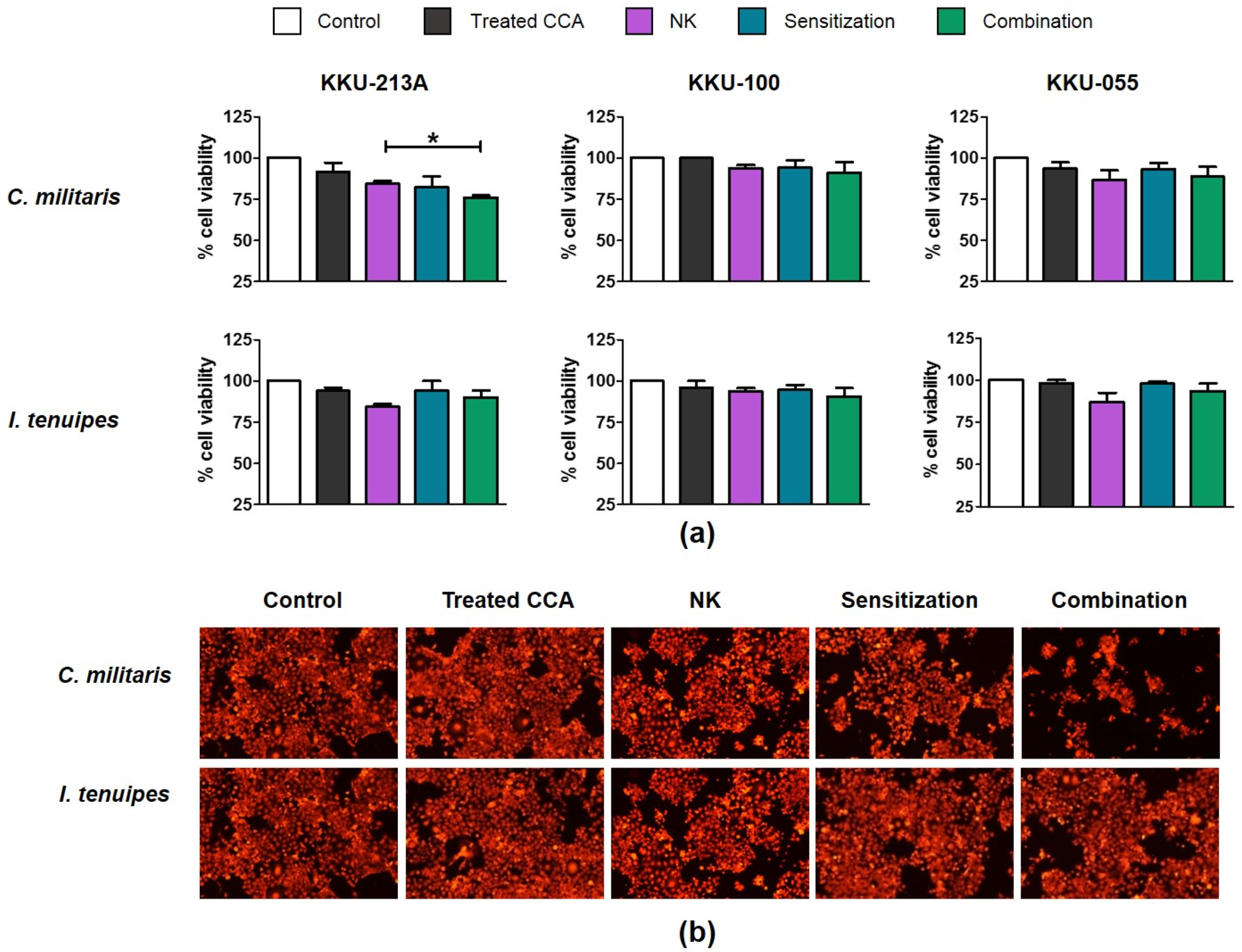 molecules free full text cordycepin sensitizes cholangiocarcinoma cells to be killed by natural killer 92 nk 92 cells html