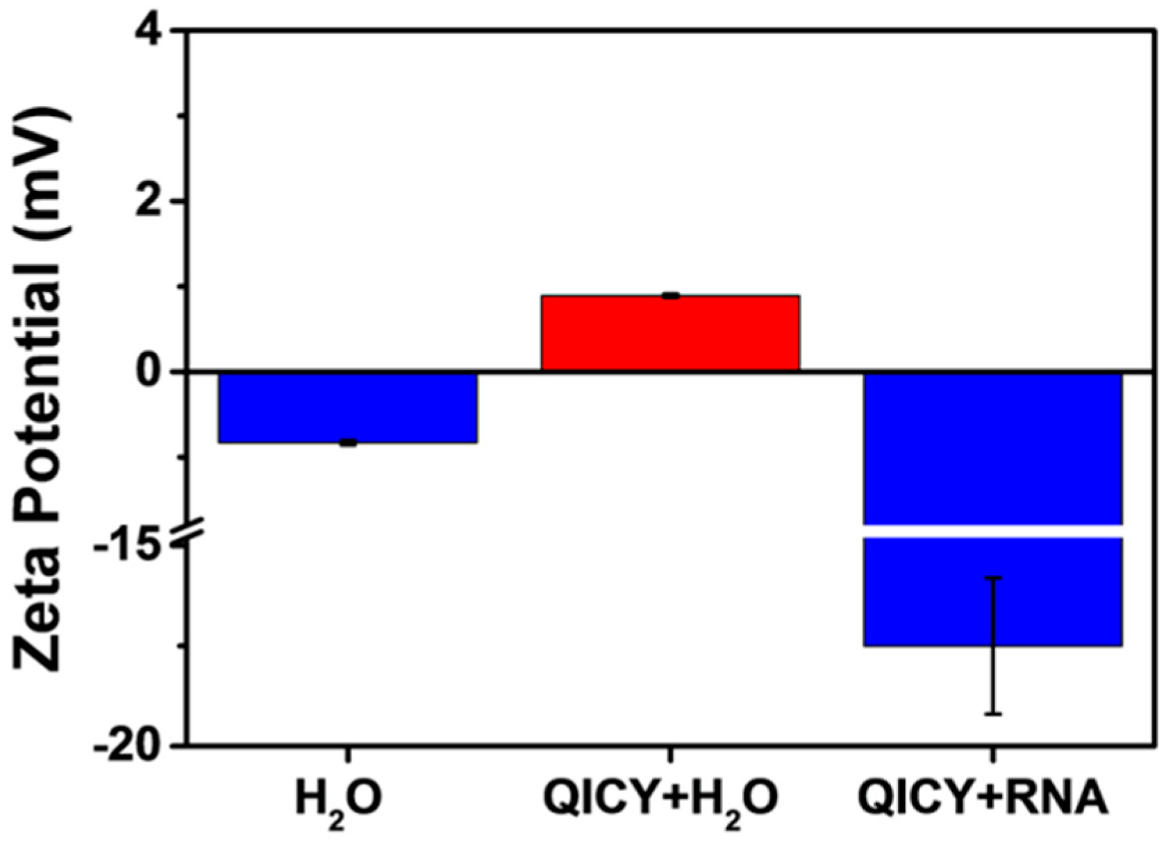 Molecules 26 05990 g004