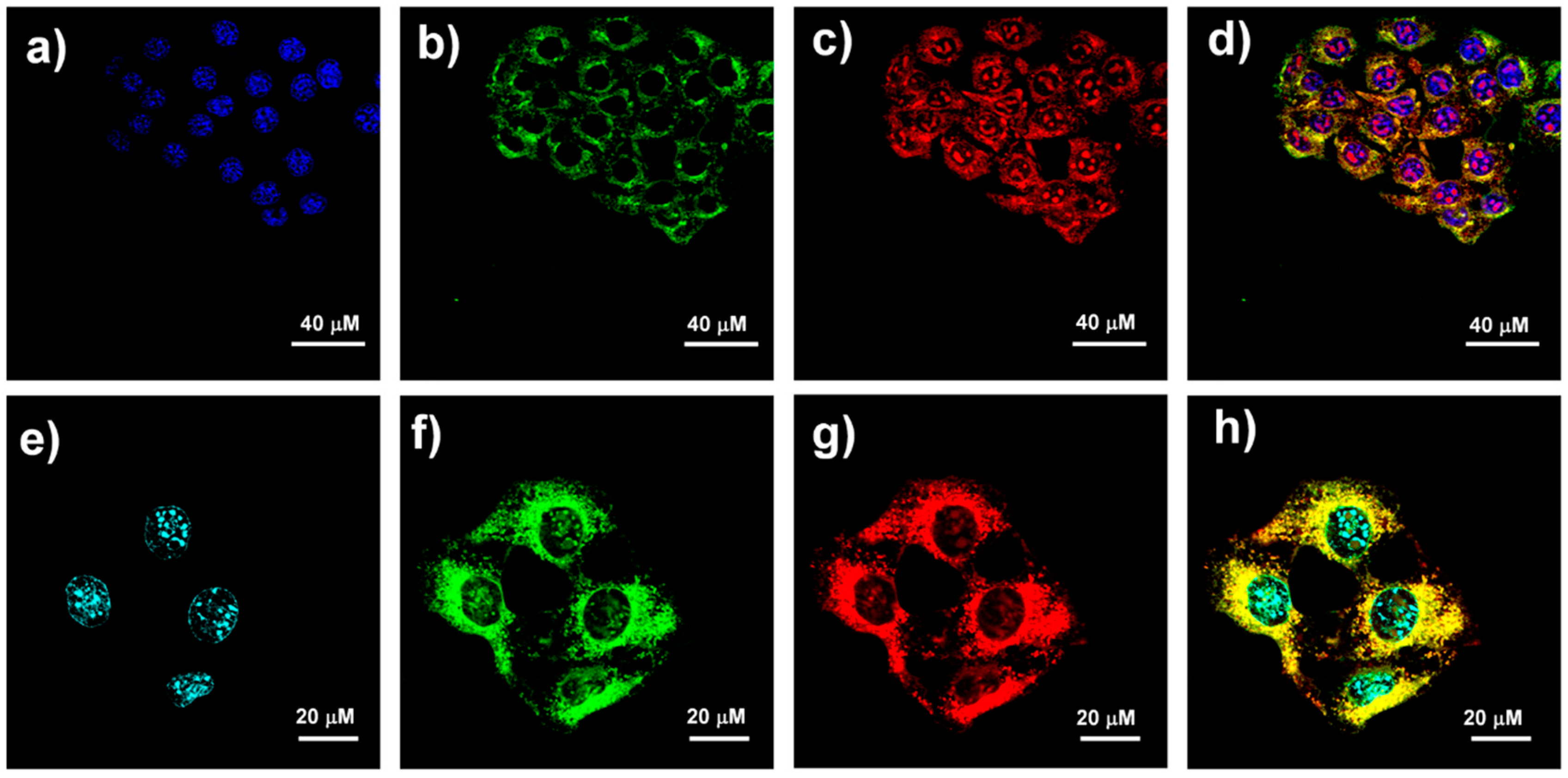 Molecules 26 05990 g005