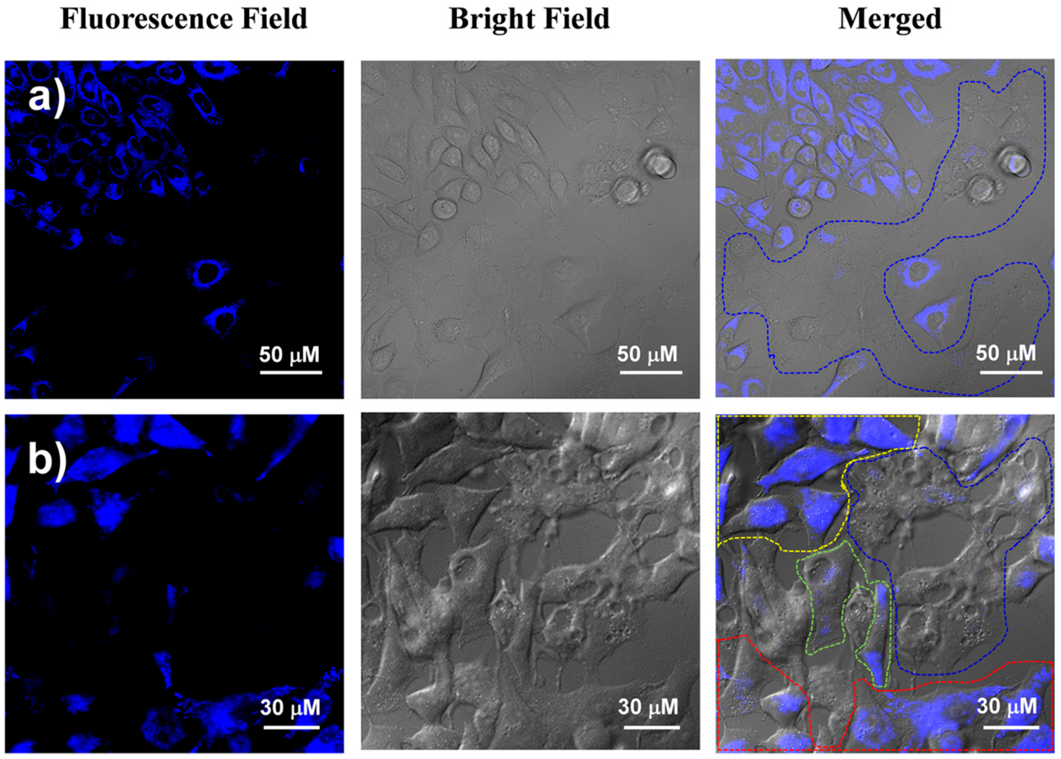 Molecules 26 05990 g007