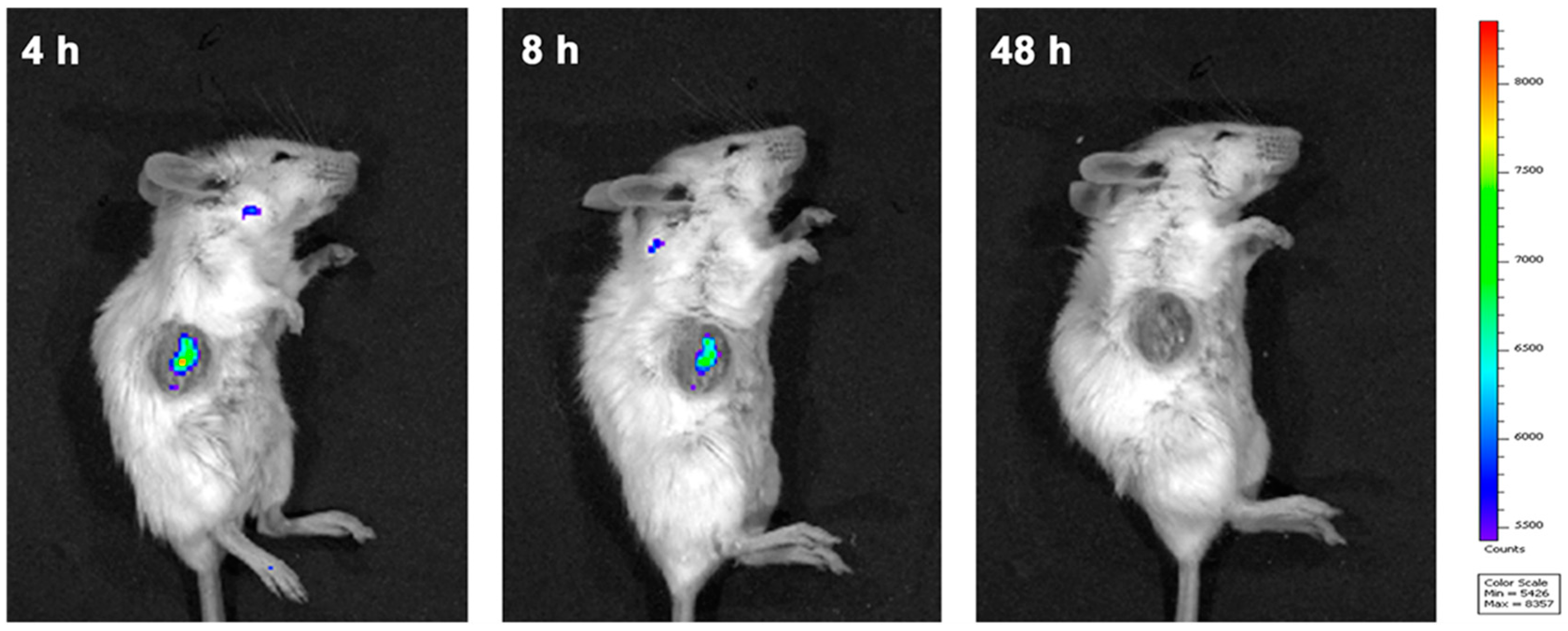 Molecules 26 05990 g009