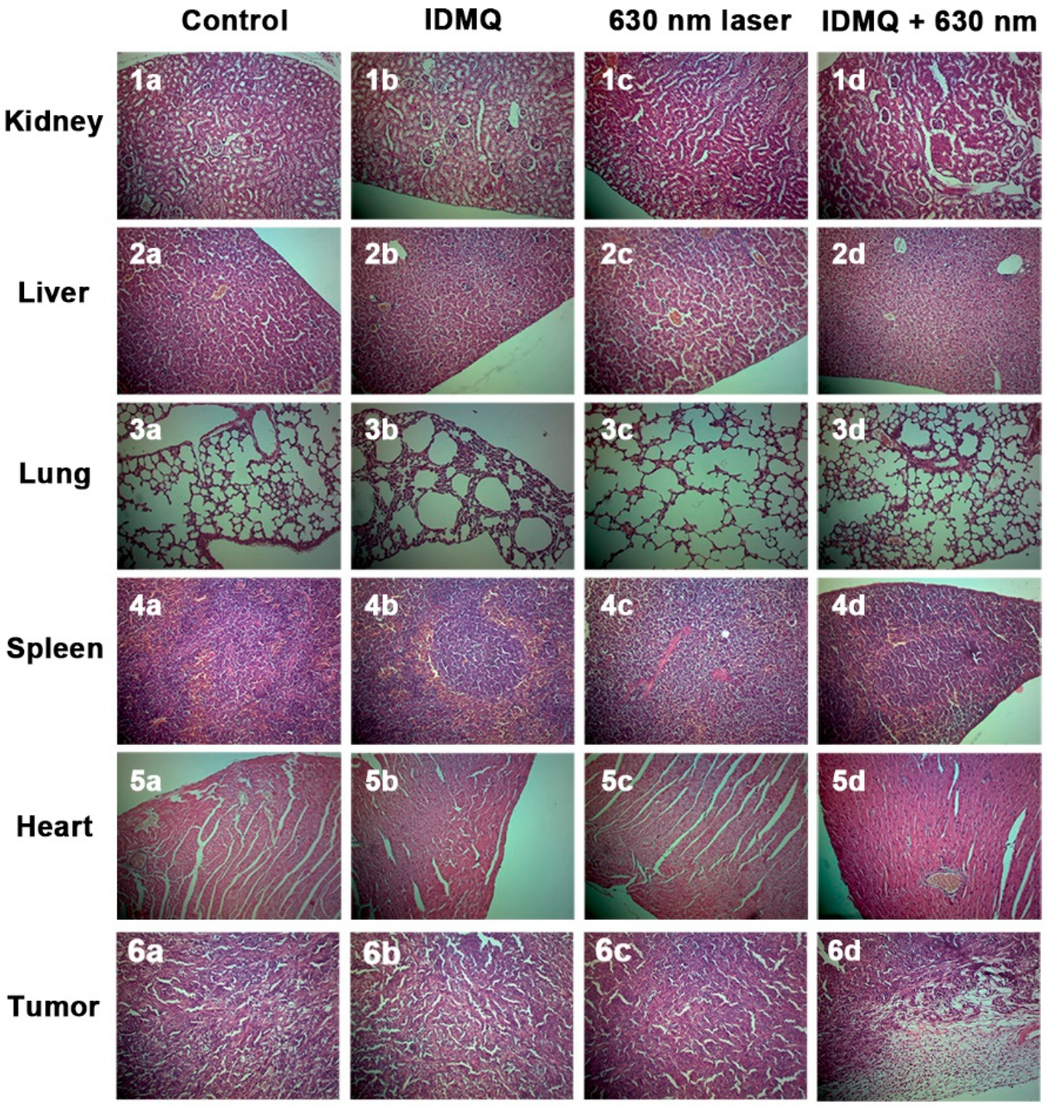 Molecules 26 05990 g012