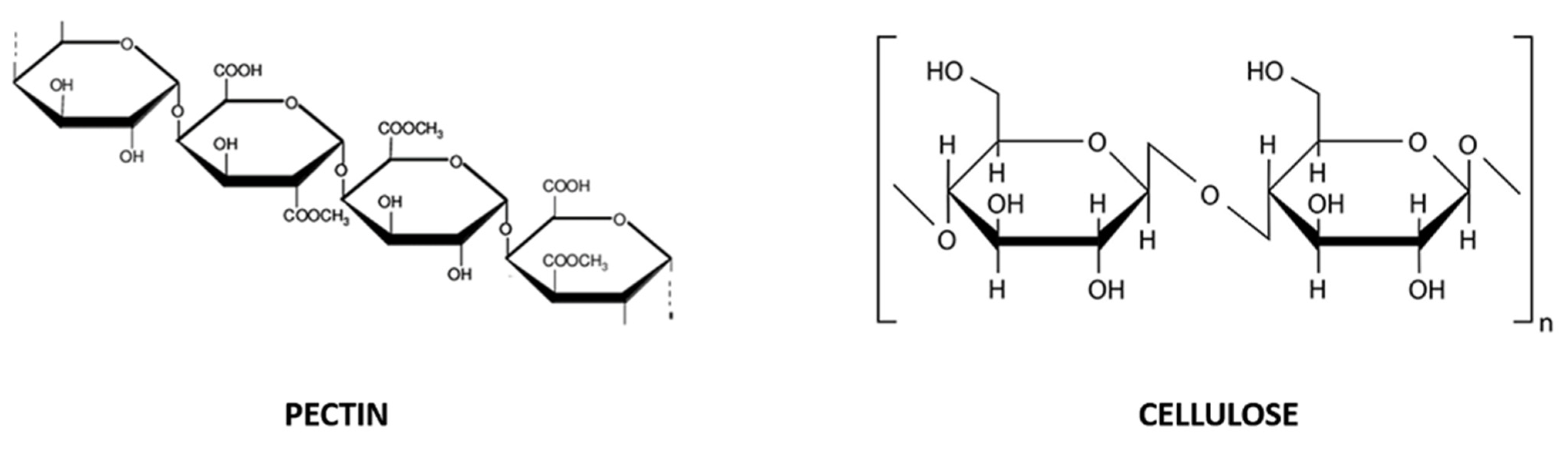 Molecules 26 05991 g002 Molecules 26 05991 g002