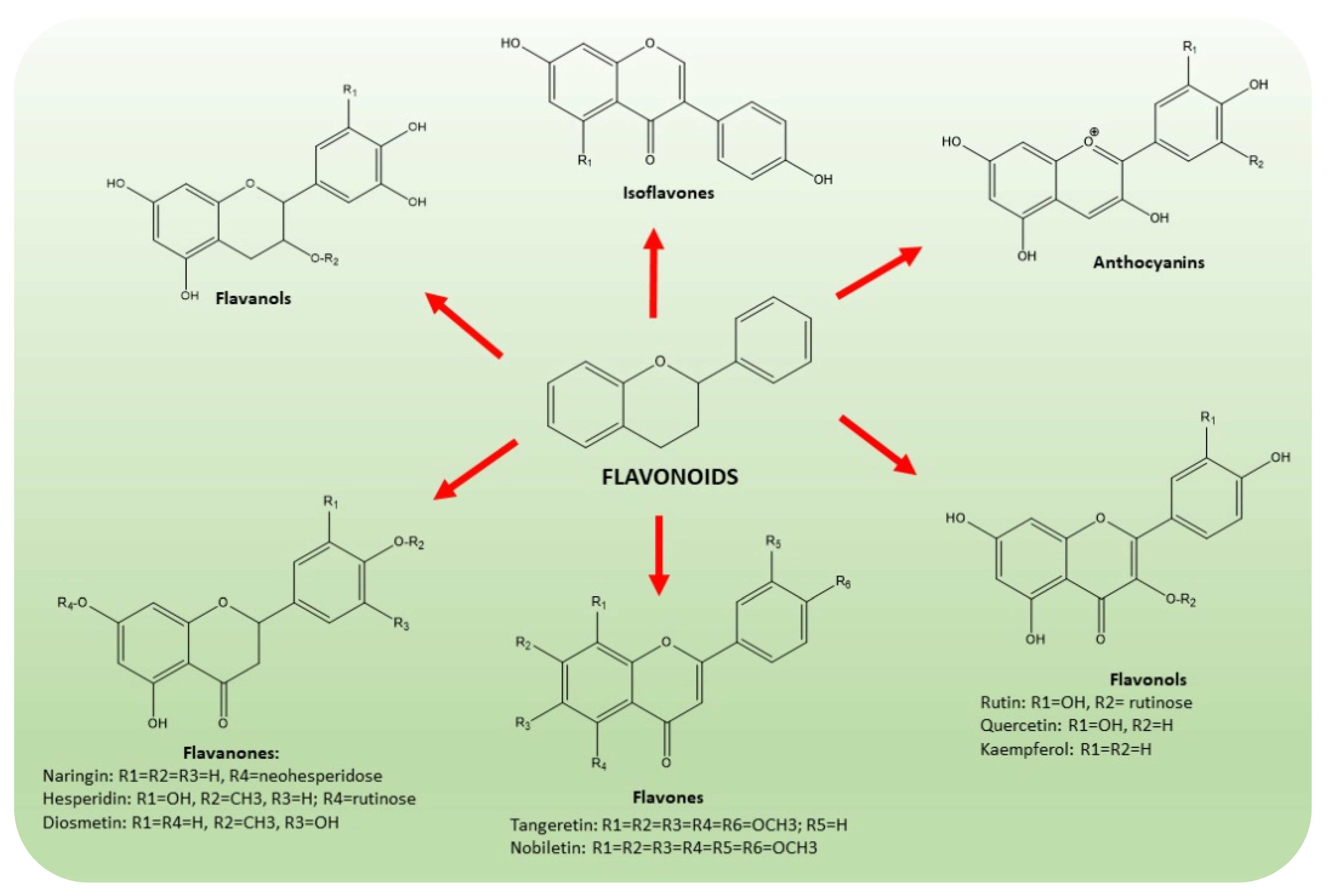 Molecules 26 05991 g004 Molecules 26 05991 g004