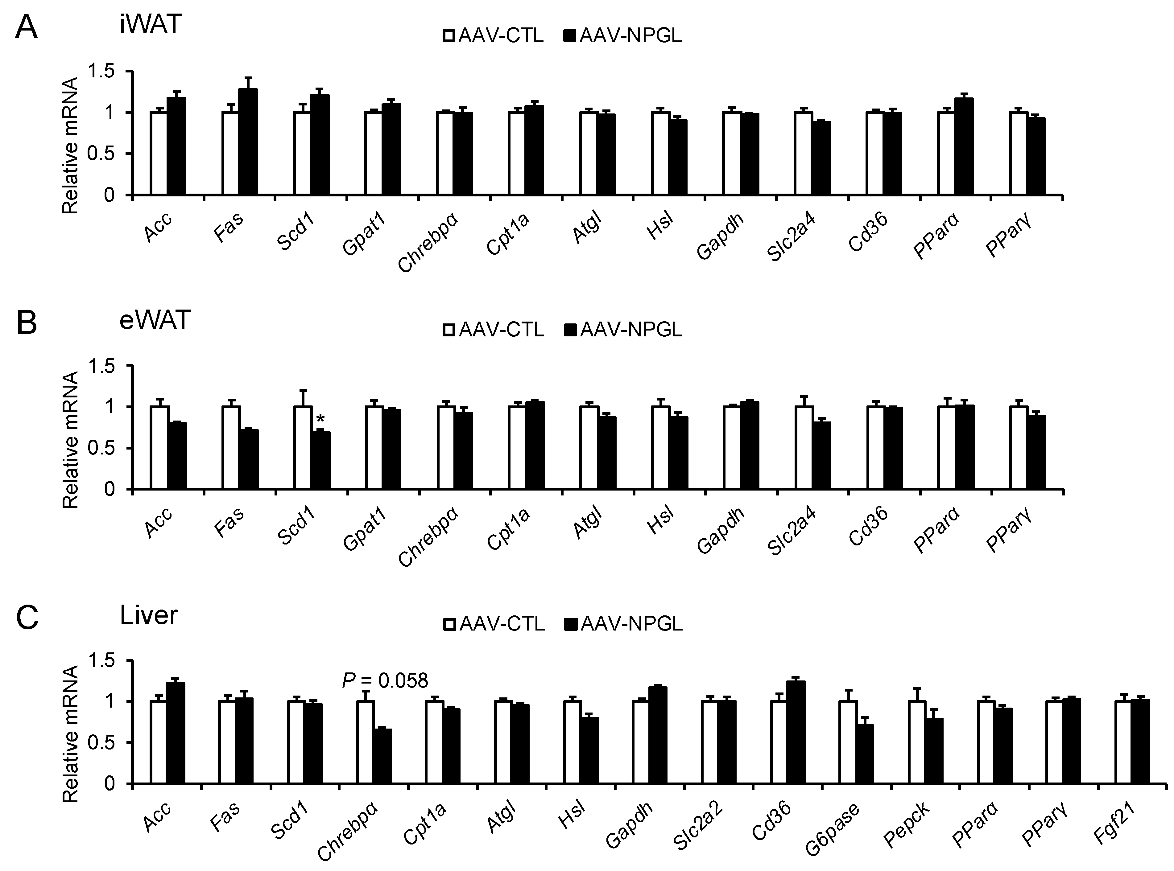 Molecules 26 06006 g006