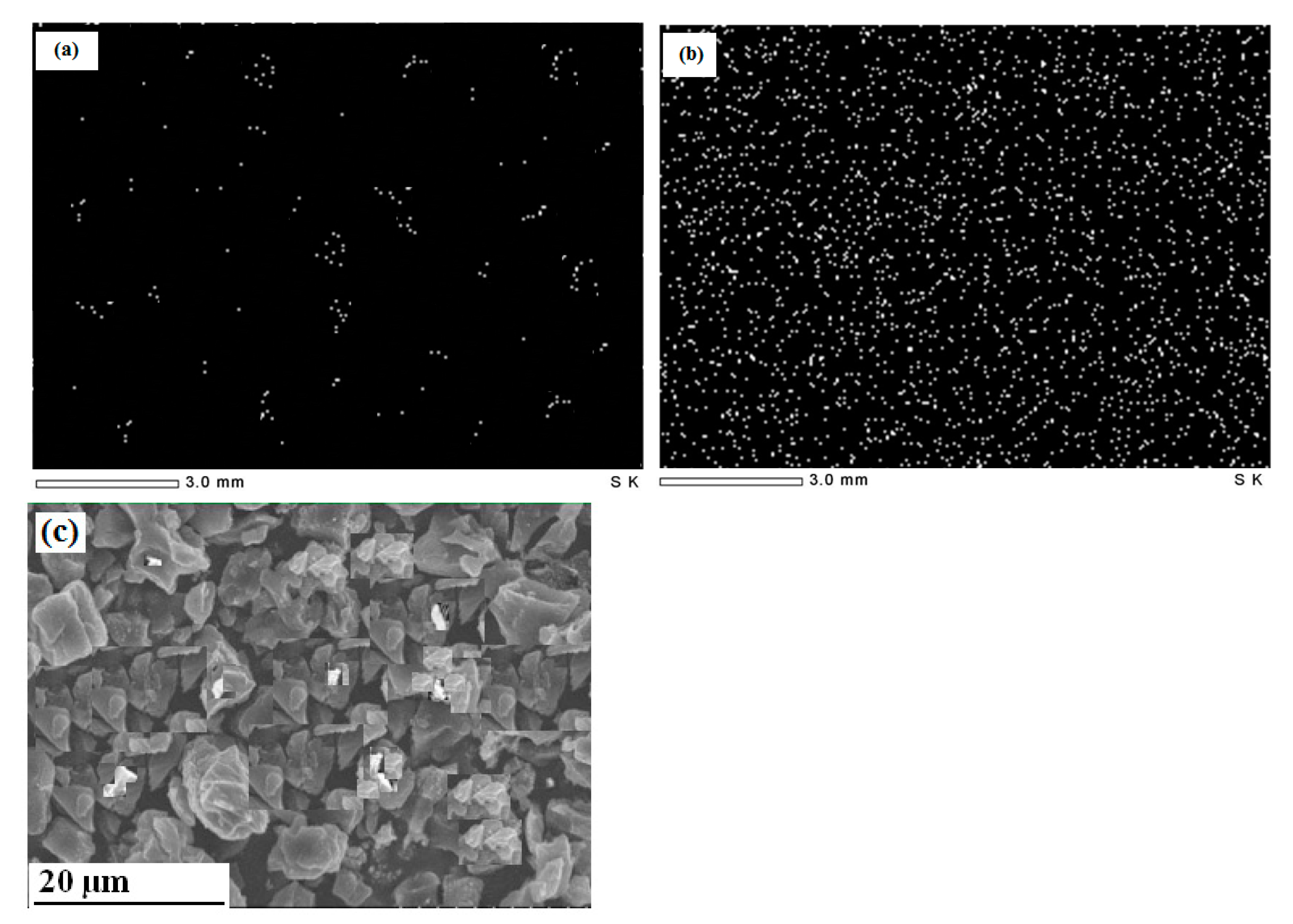 Molecules 26 06016 g002 Molecules 26 06016 g002