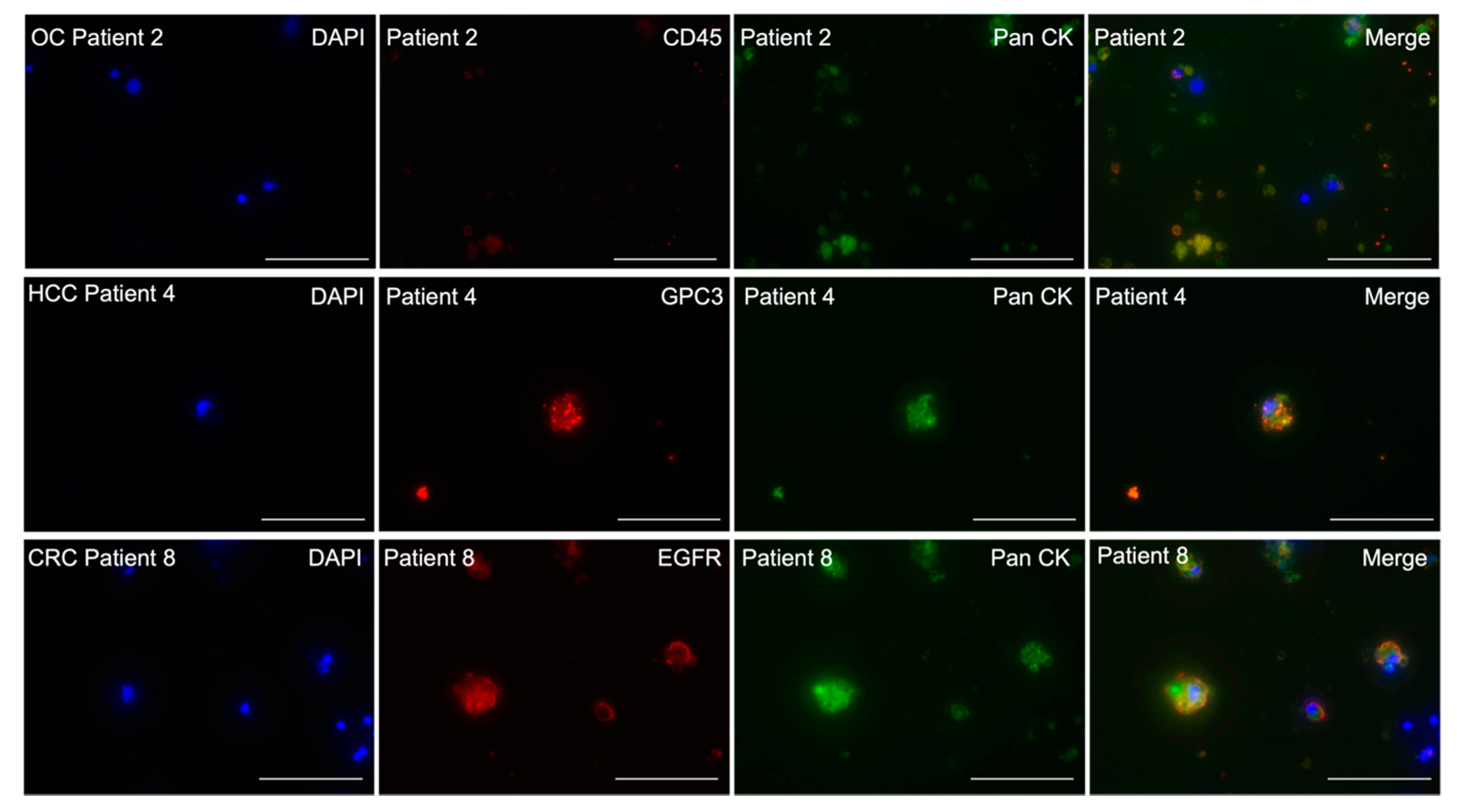 Molecules 26 06018 g002