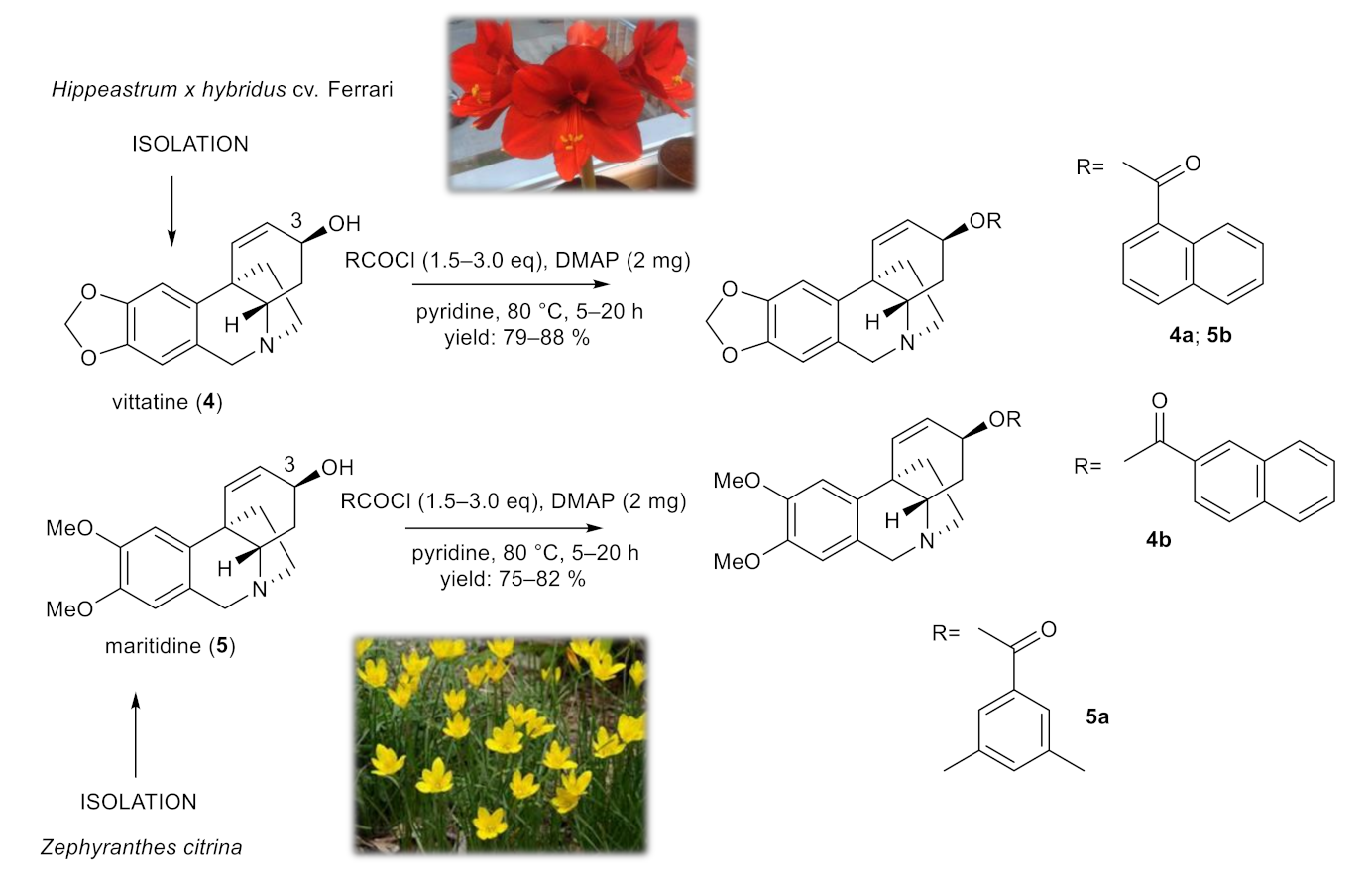 Molecules 26 06023 g003