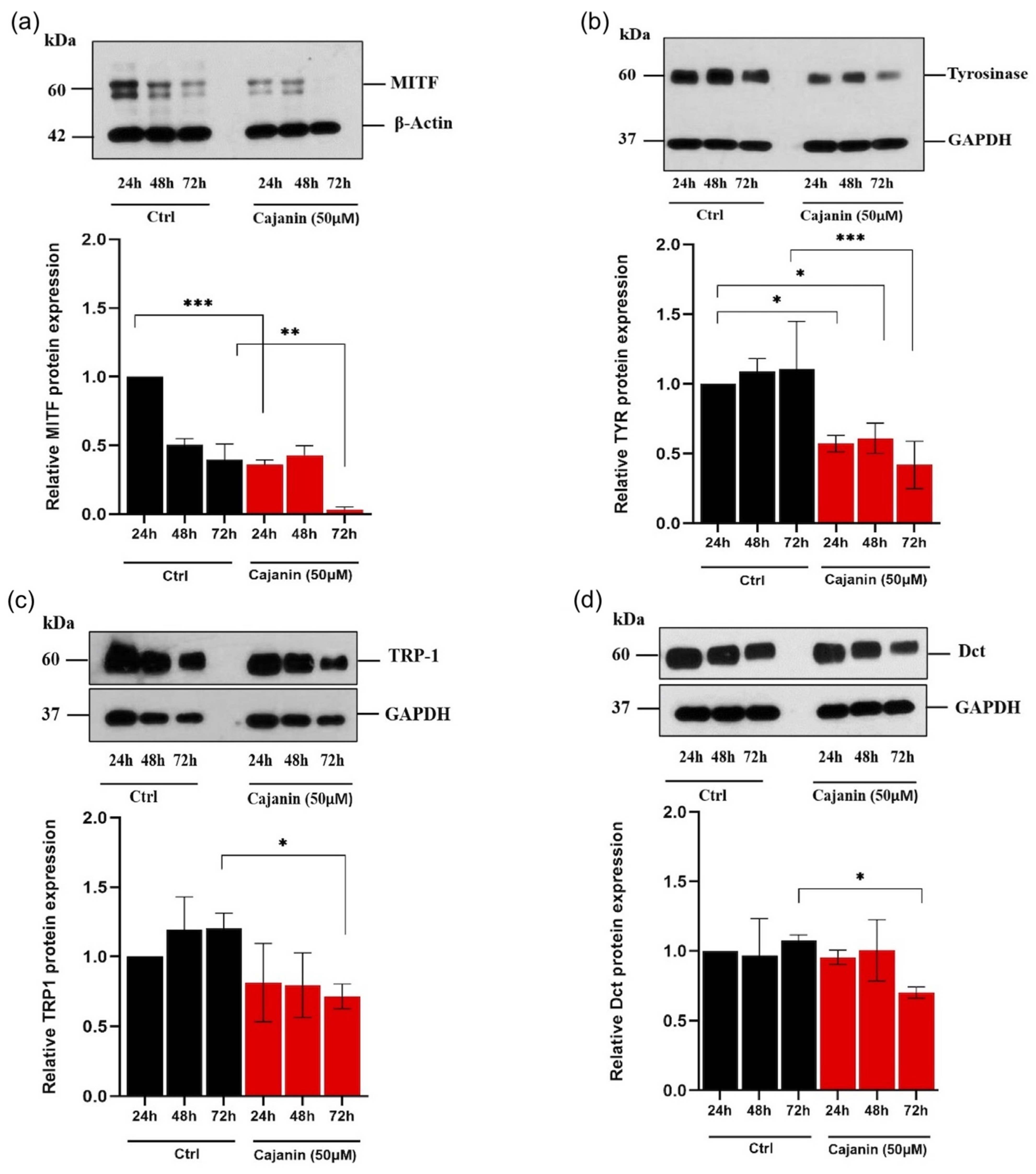 Molecules 26 06040 g006