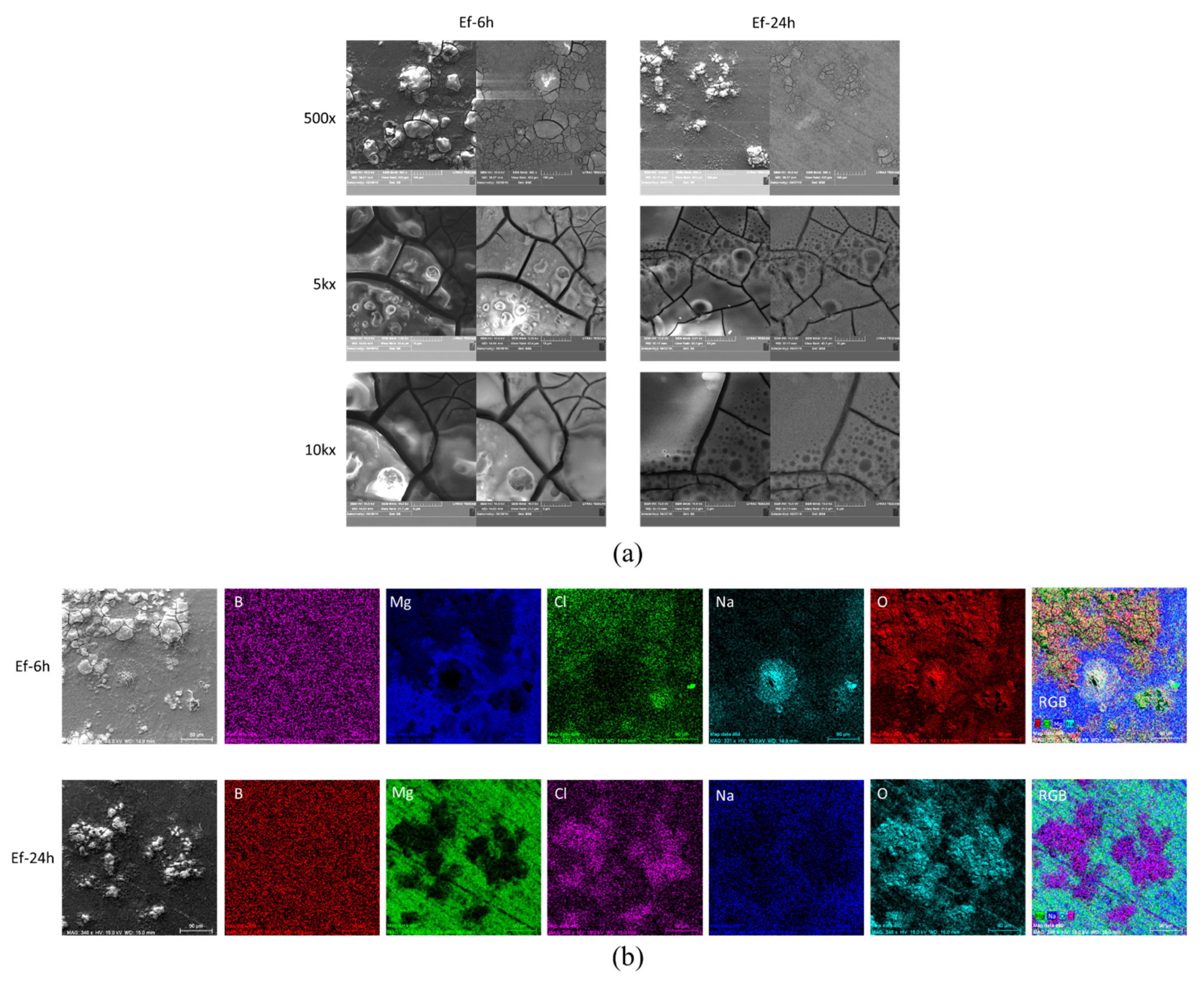 Molecules 26 06045 g006 Molecules 26 06045 g006