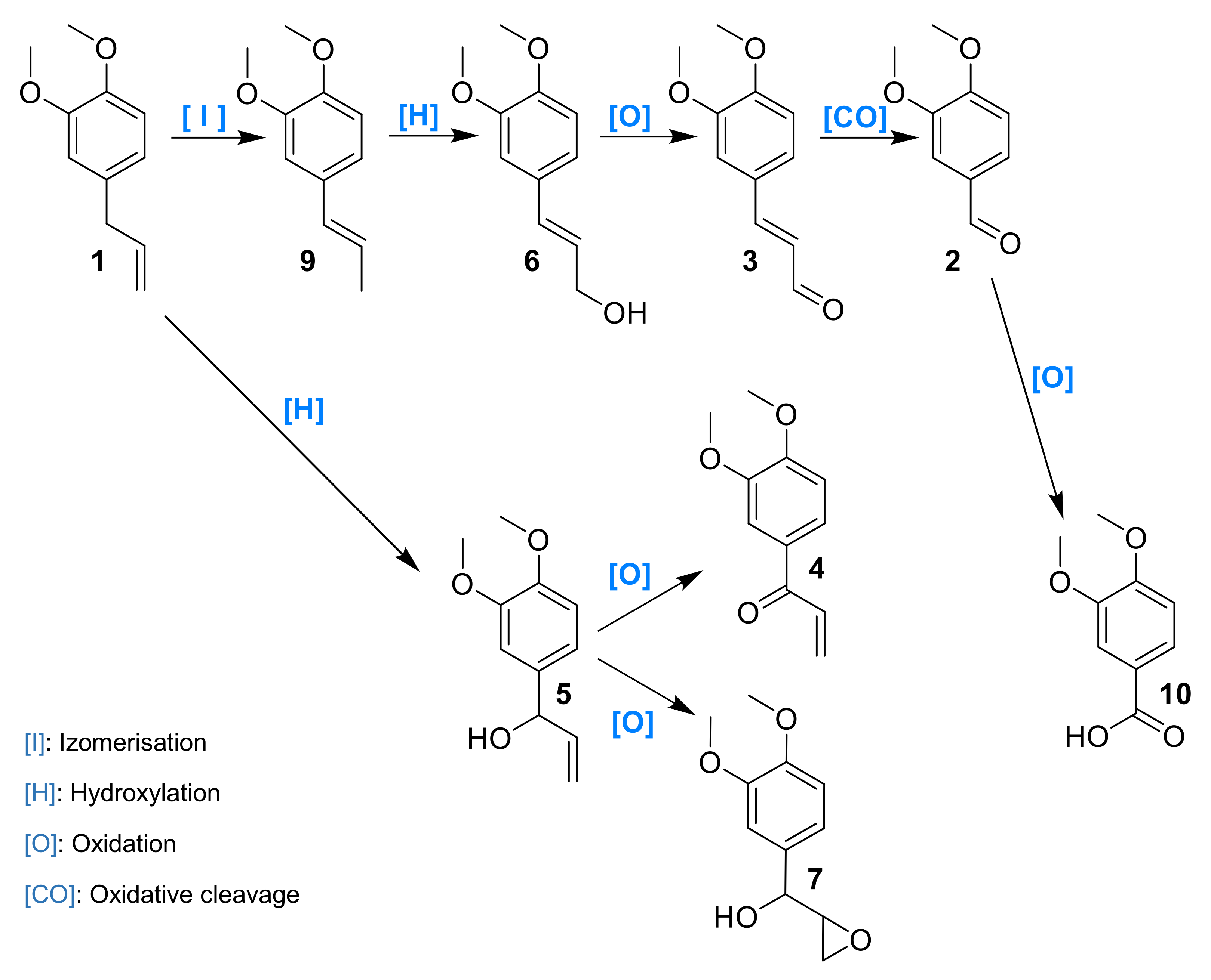 Molecules 26 06053 g013