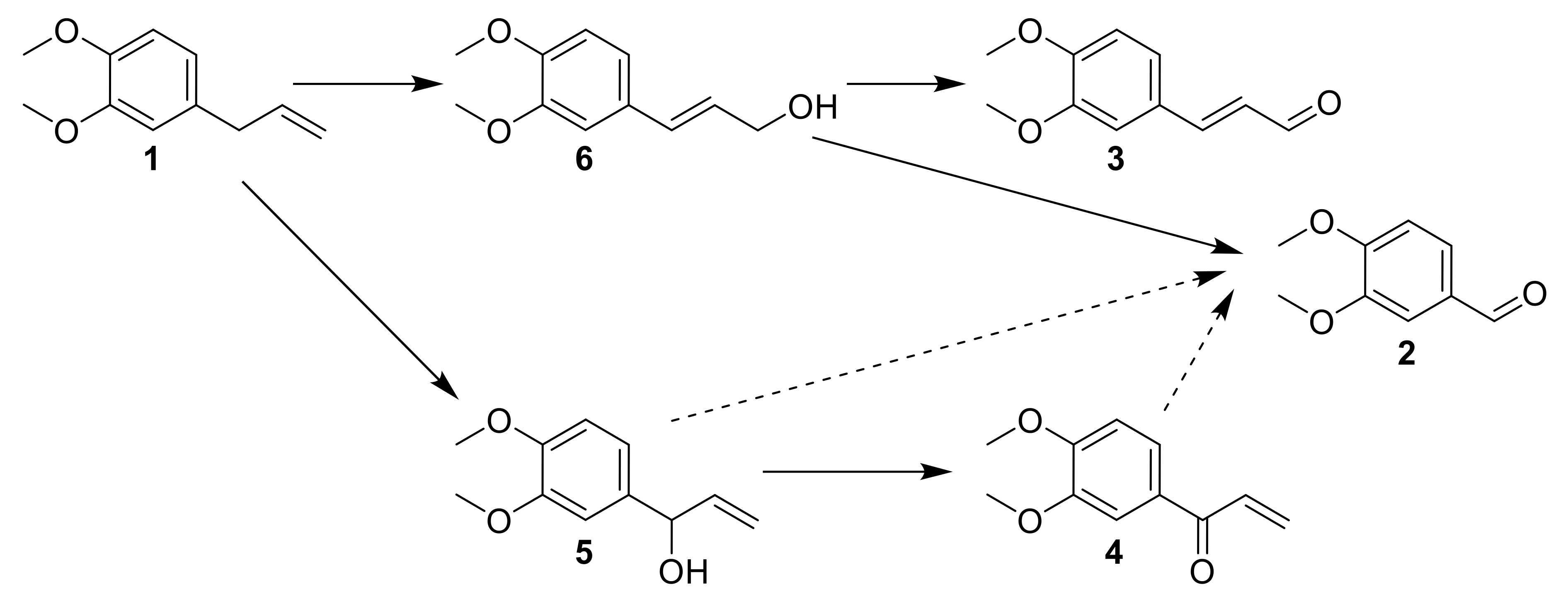 Molecules 26 06053 g015
