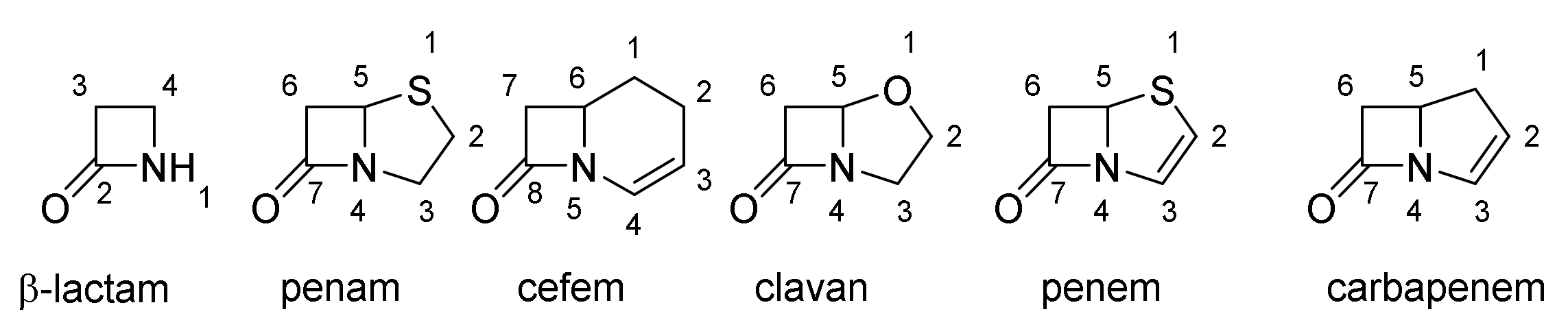 Molecules 26 06057 g004 Molecules 26 06057 g004