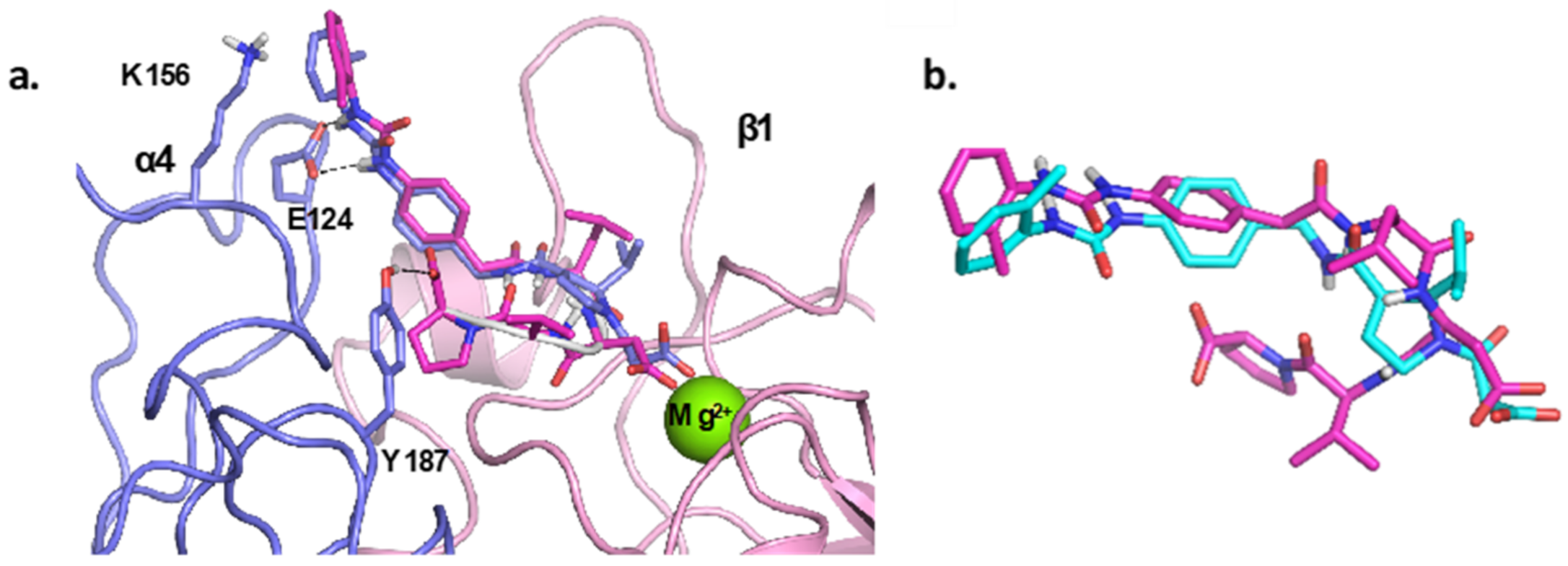 Molecules 26 06066 g005