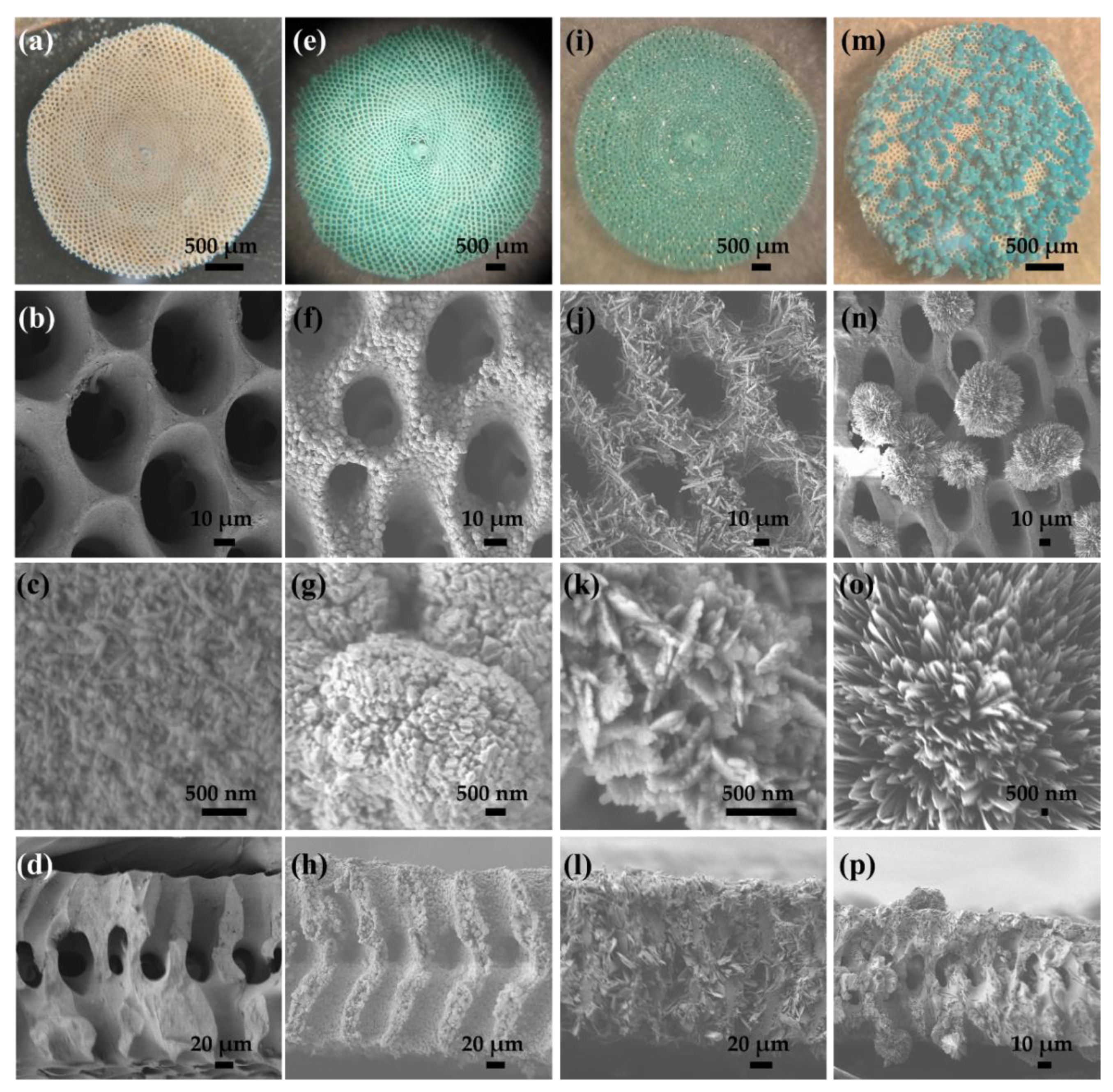 Molecules 26 06067 g002