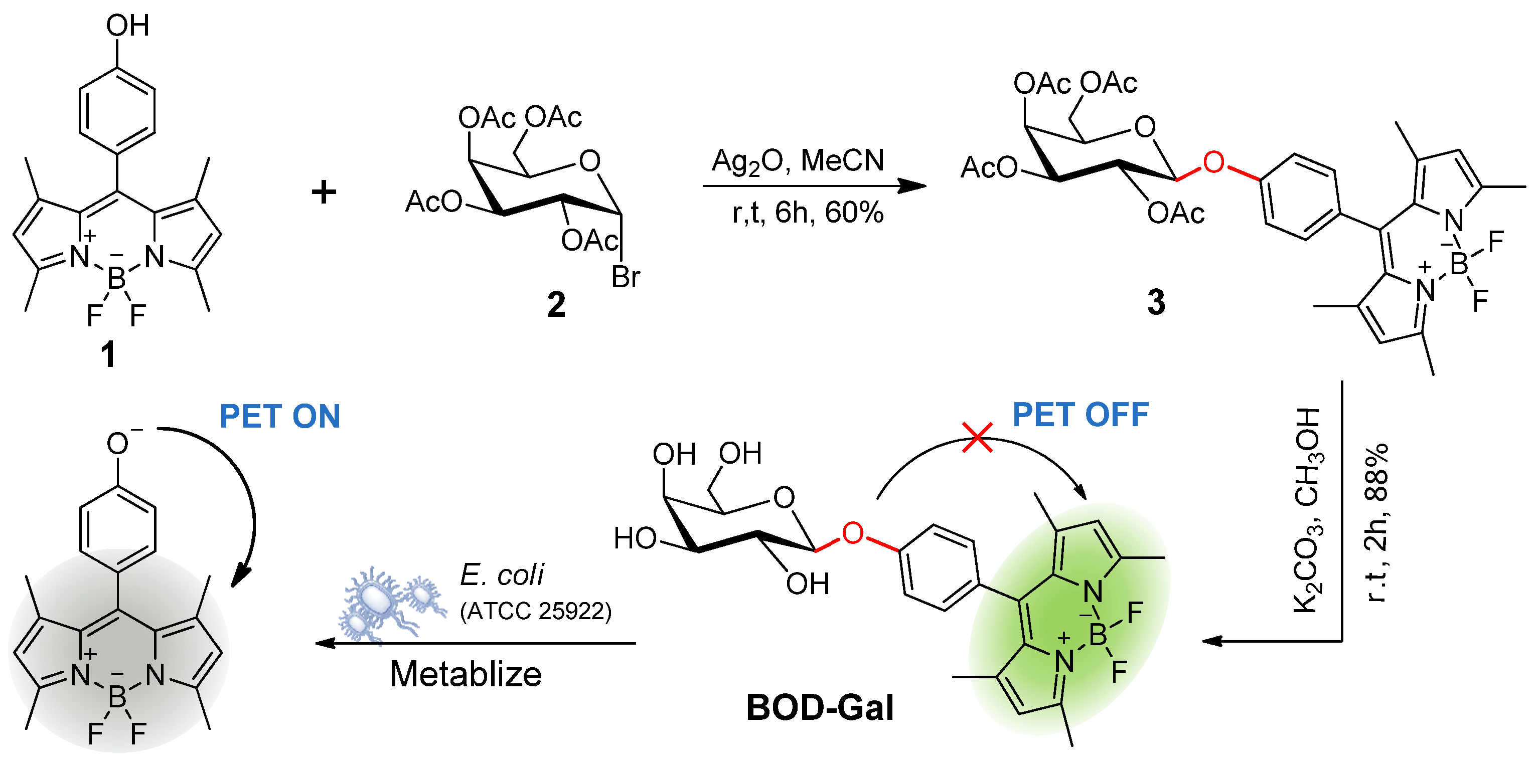 Molecules 26 06072 sch001