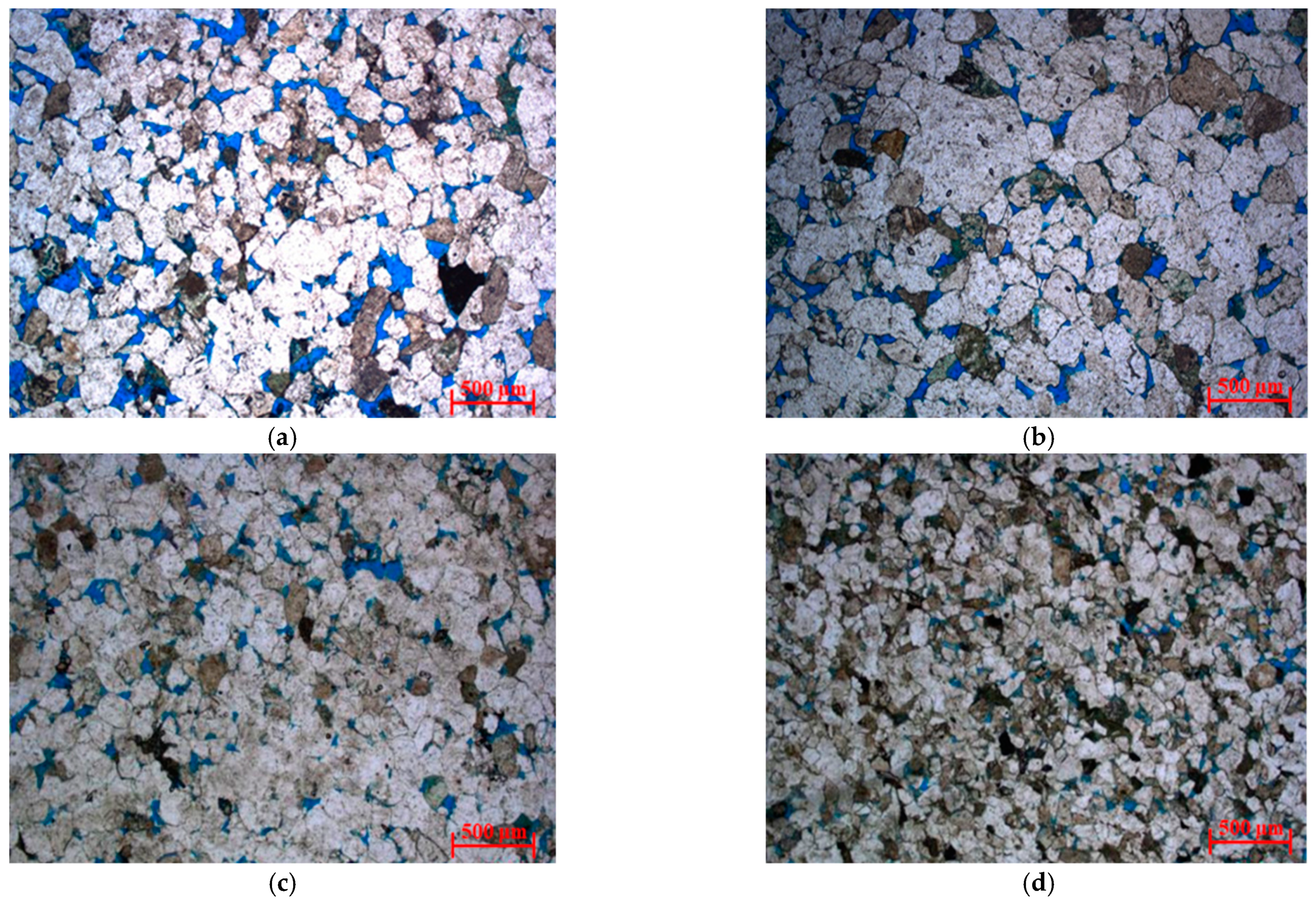 Molecules 26 06082 g004