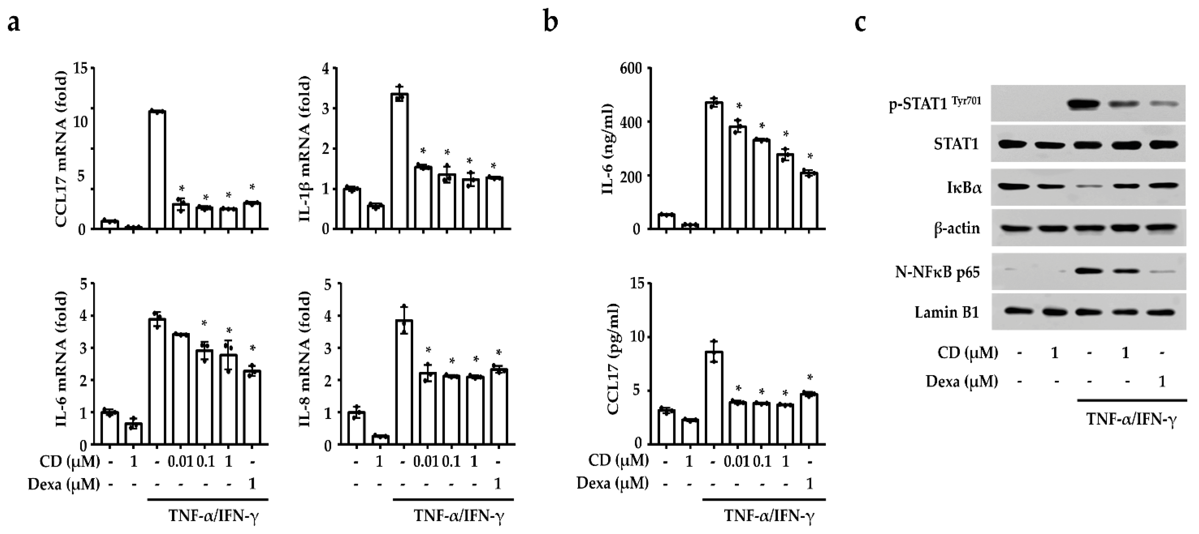 Molecules 26 06086 g004