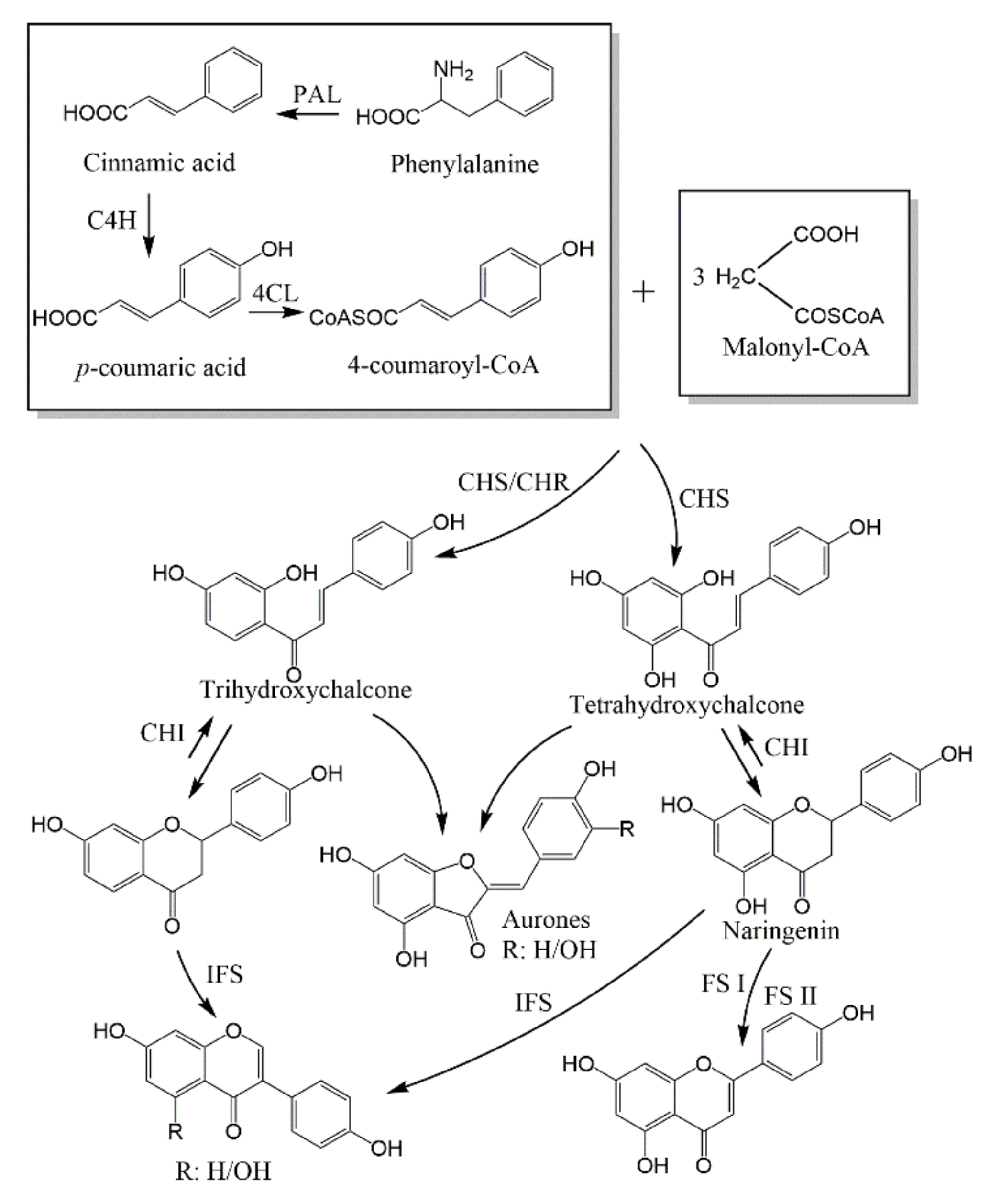 Molecules 26 06088 g013 Molecules 26 06088 g013