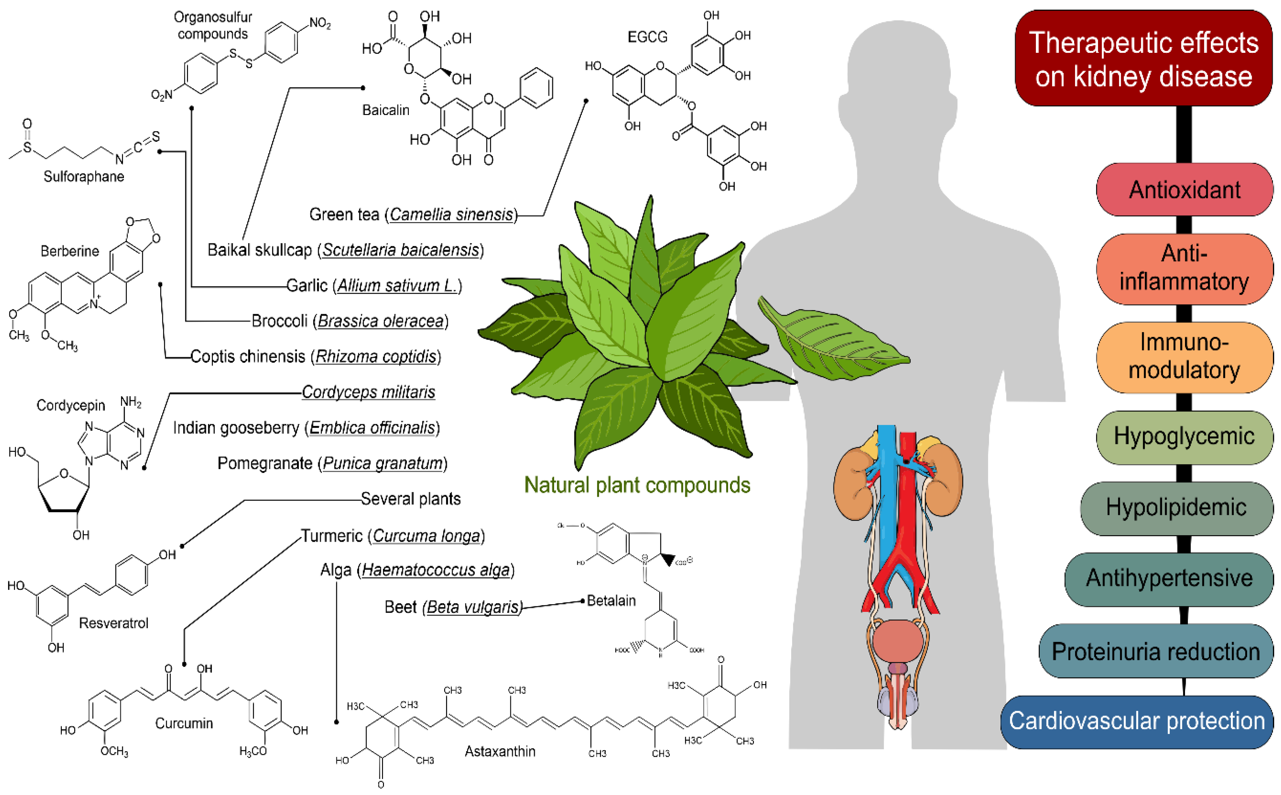 Molecules 26 06096 g001