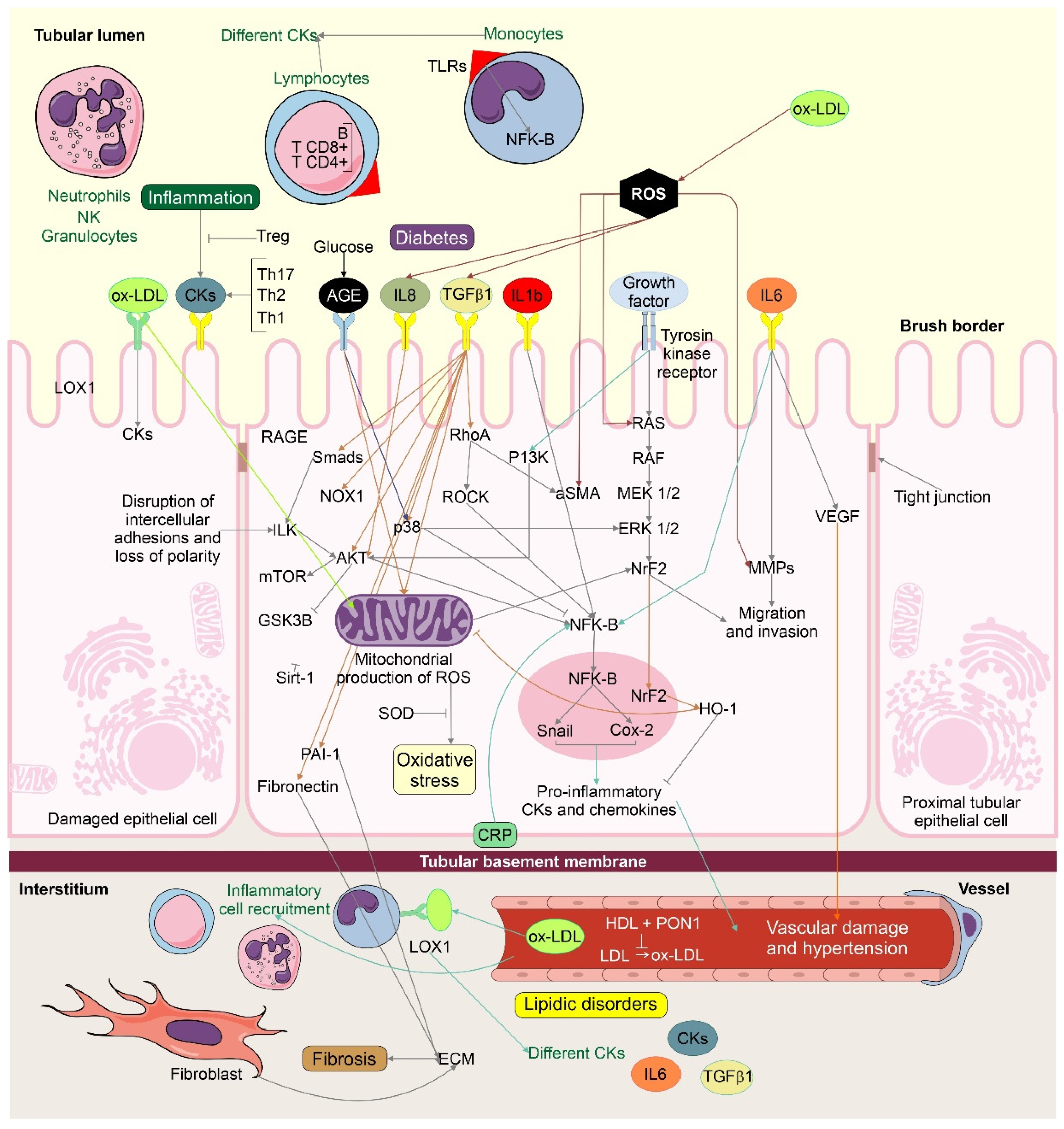 Molecules 26 06096 g003