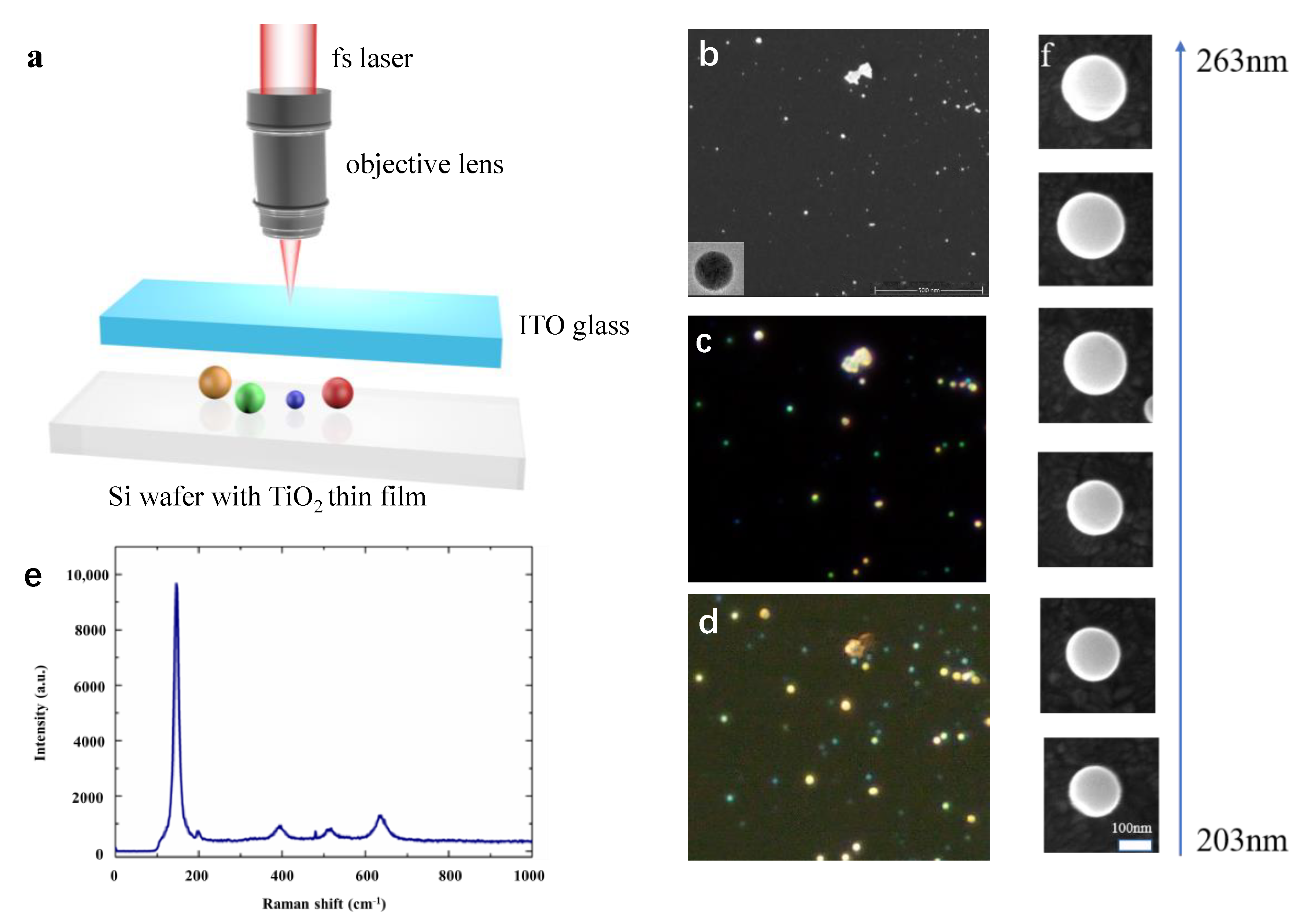 Molecules 26 06106 g003 Molecules 26 06106 g003