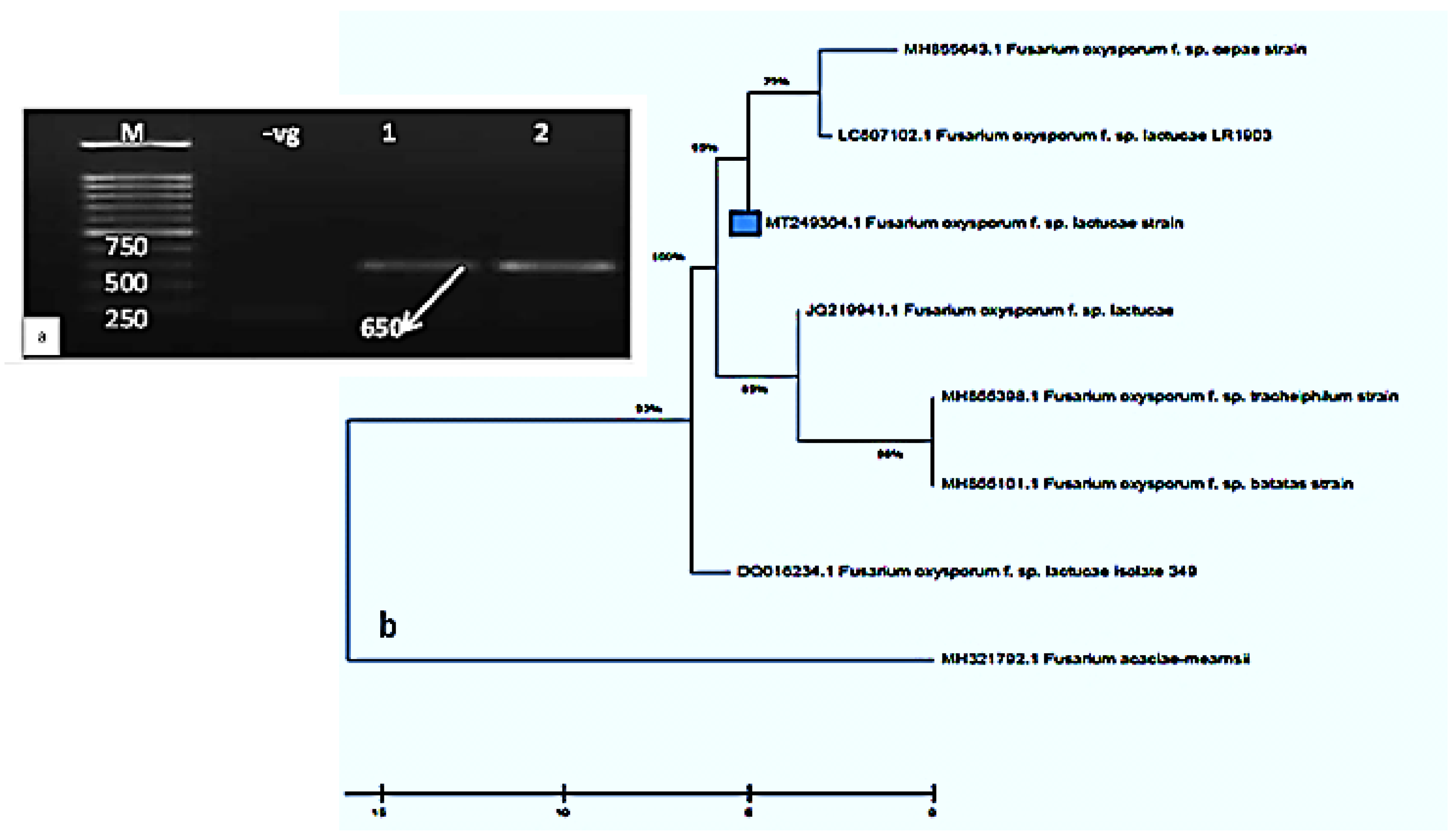 Molecules 26 06118 g002
