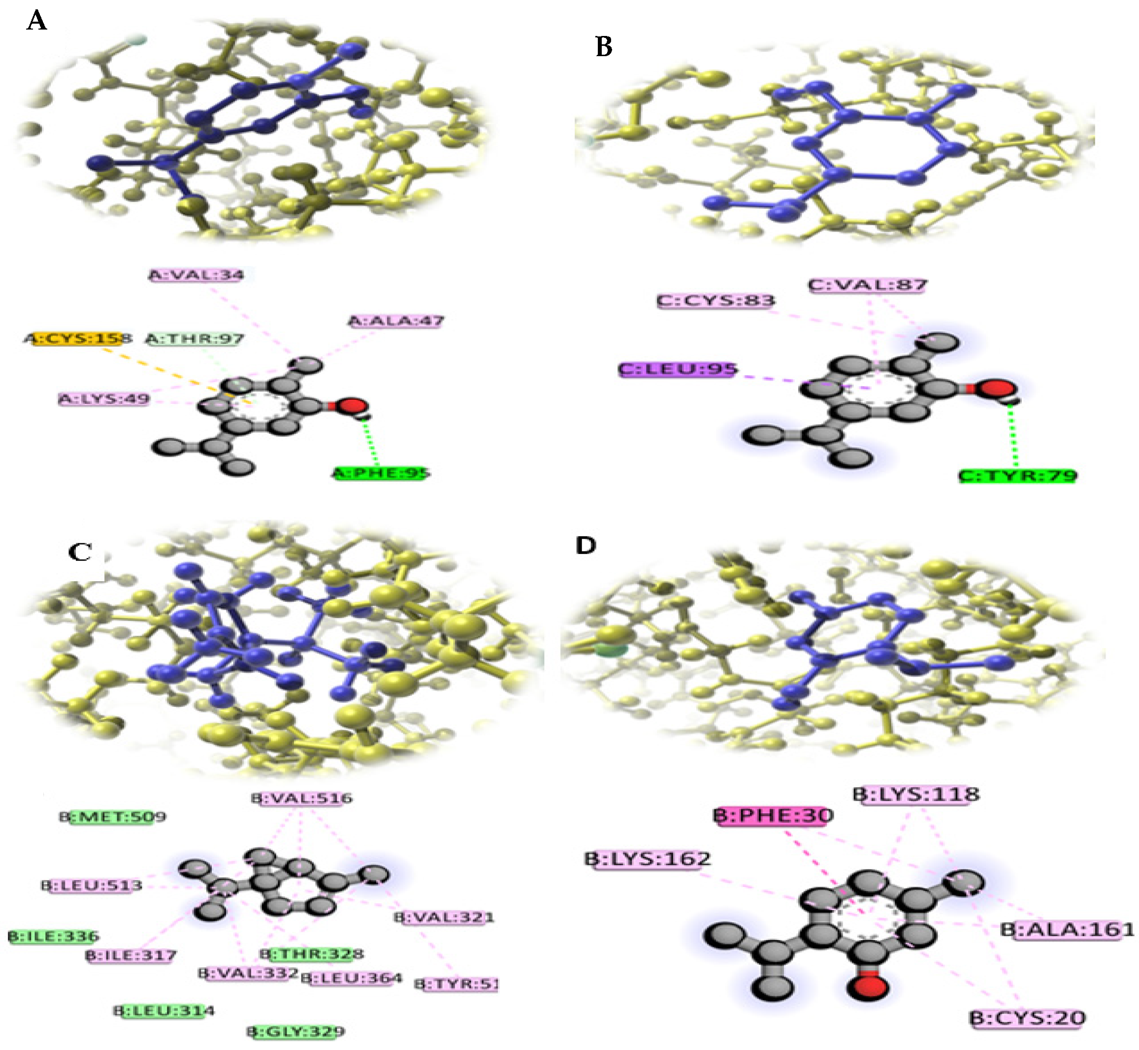 Molecules 26 06118 g006