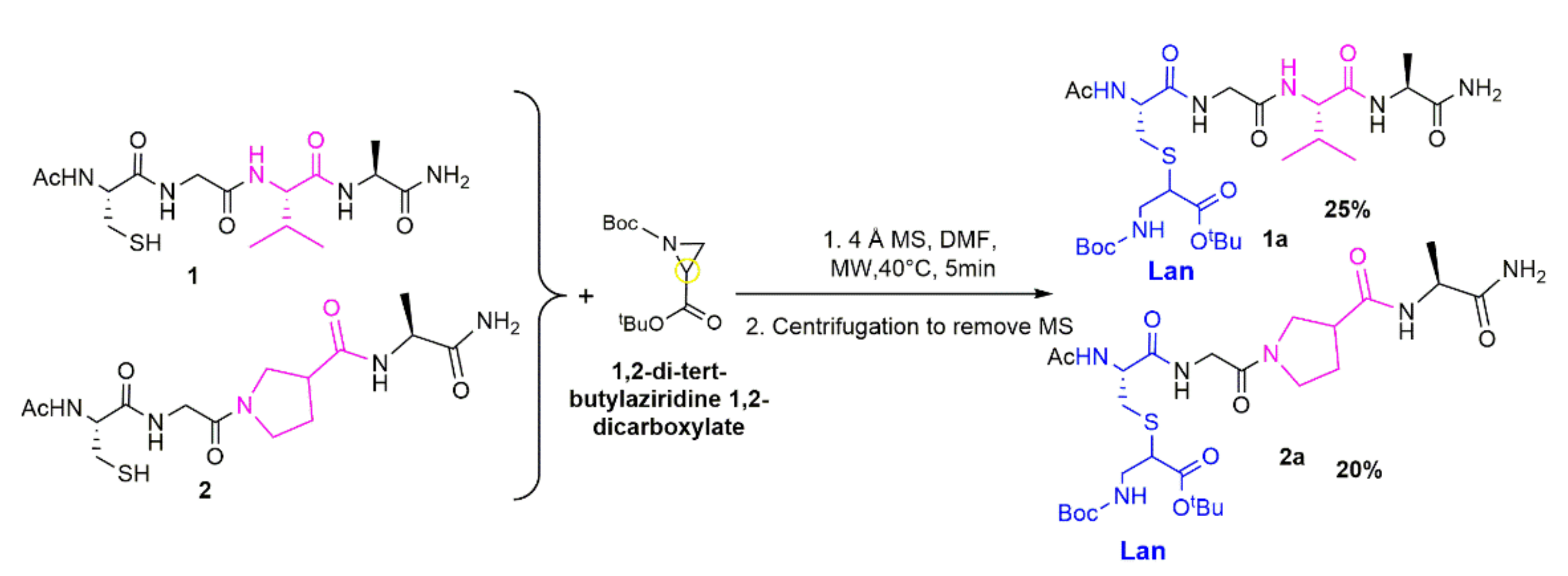 Molecules 26 06135 sch001 Molecules 26 06135 sch001