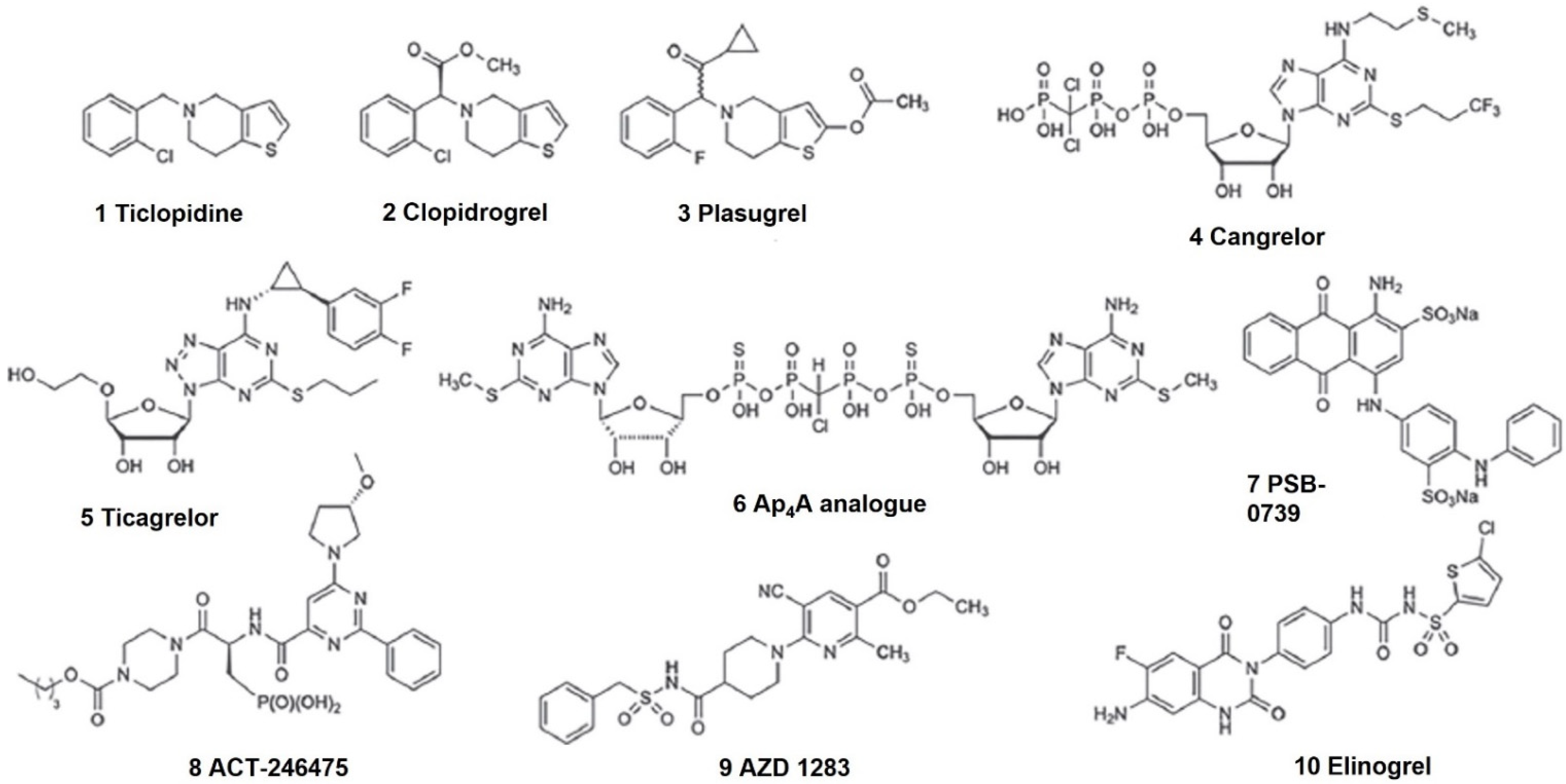 Molecules 26 06146 g001 Molecules 26 06146 g001