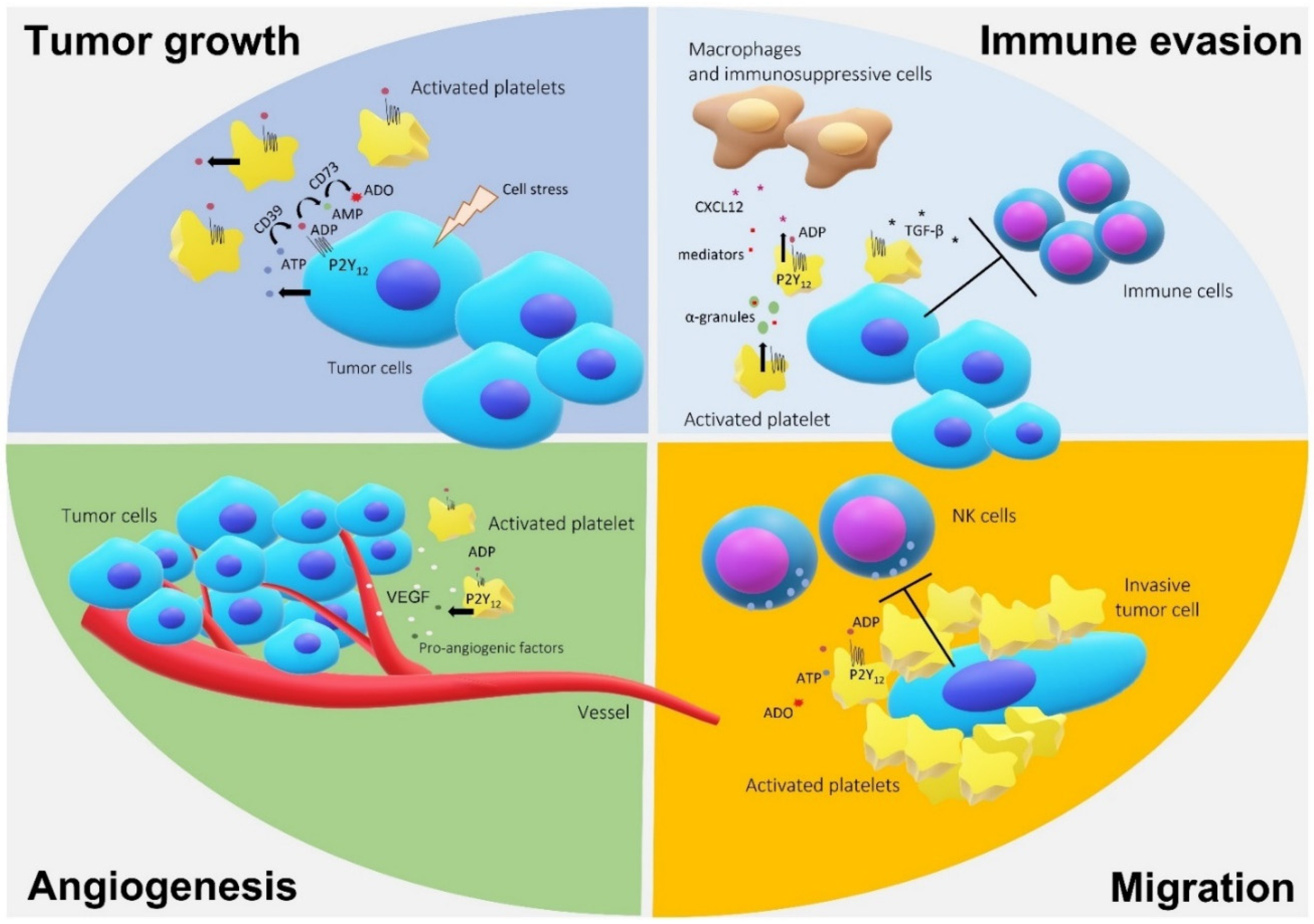 Molecules 26 06146 g002 Molecules 26 06146 g002
